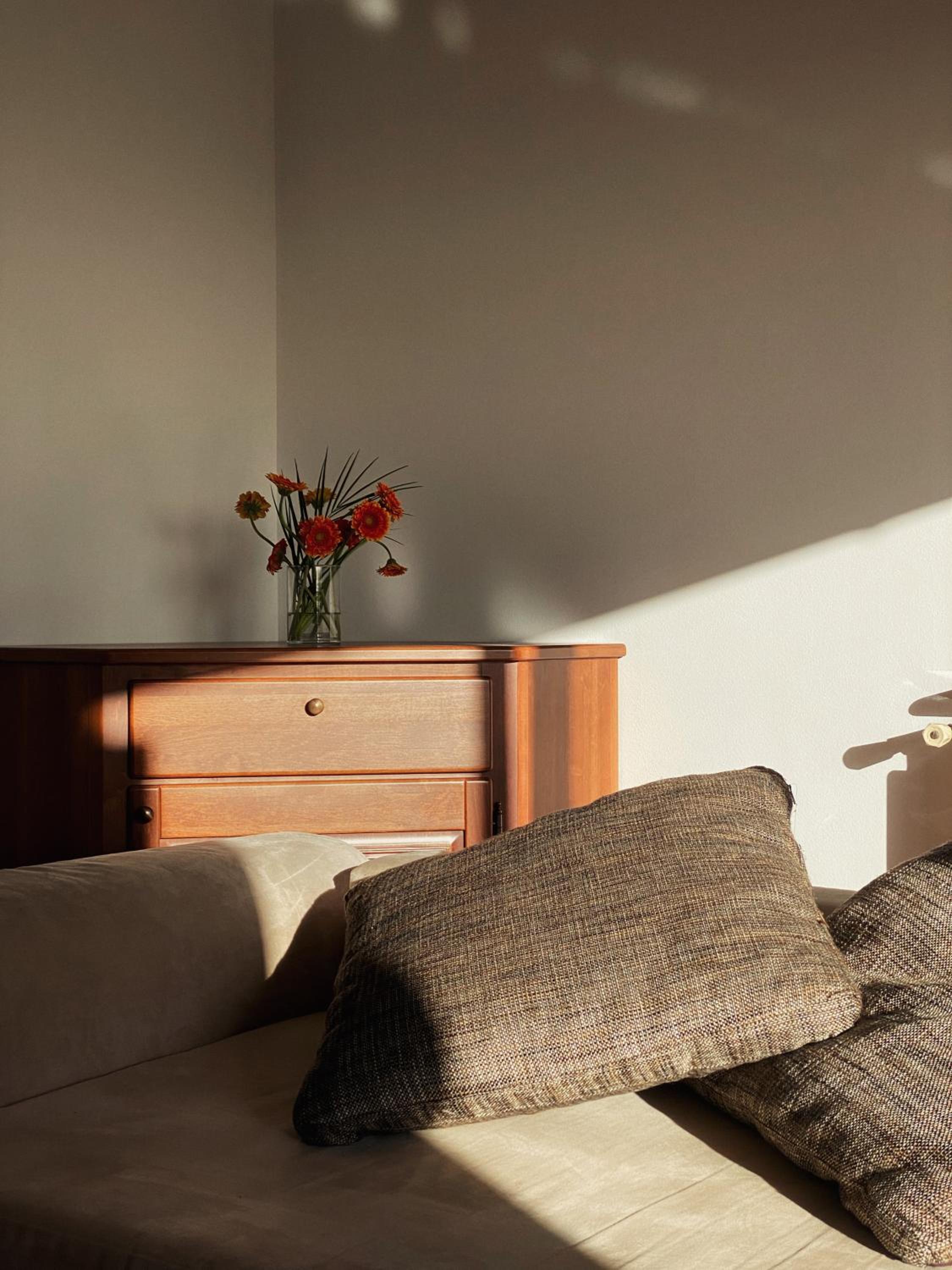 Apartma Domačija Bole