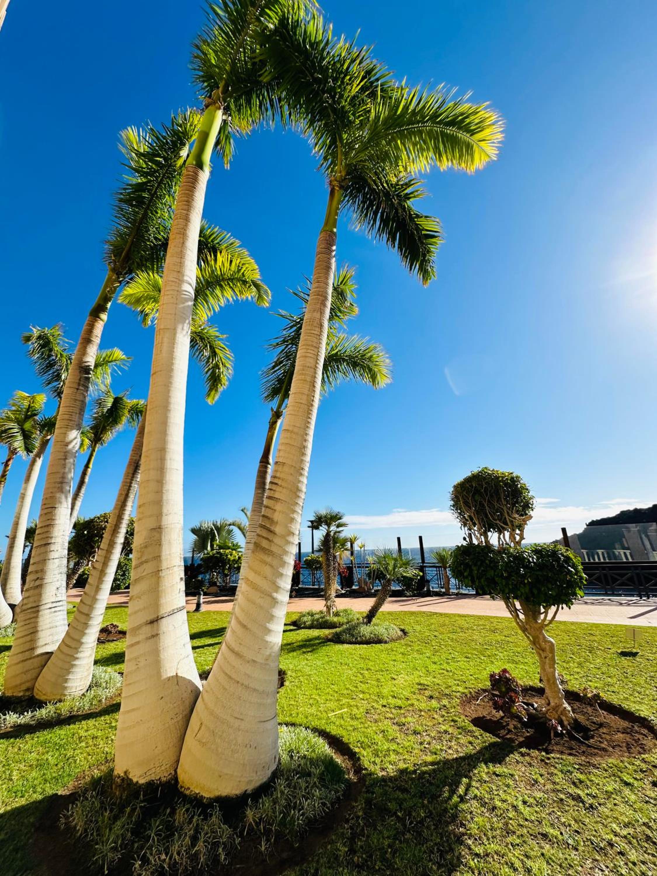 El Nautico Coral Suite - Oceanview Escape