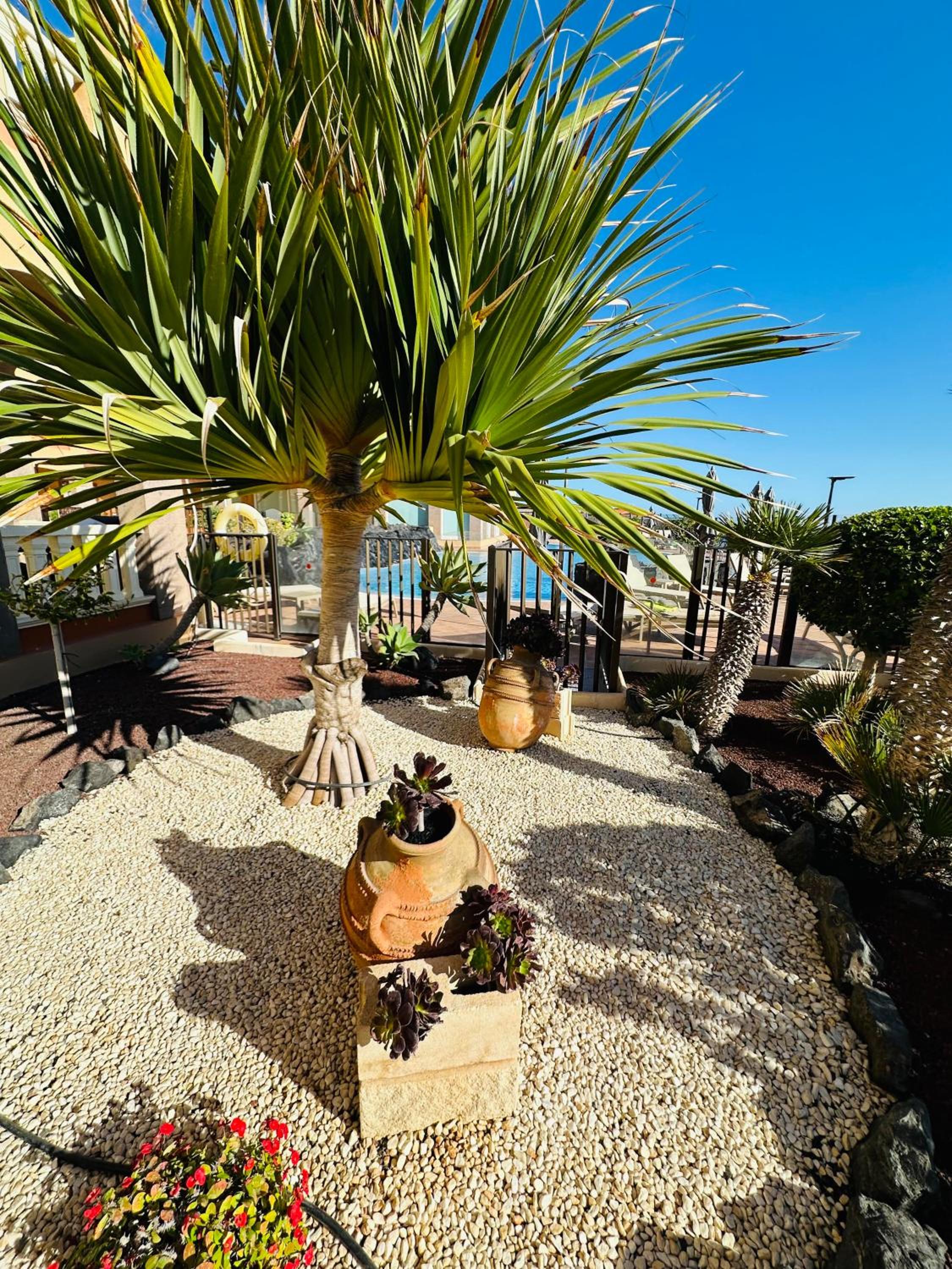El Nautico Coral Suite - Oceanview Escape