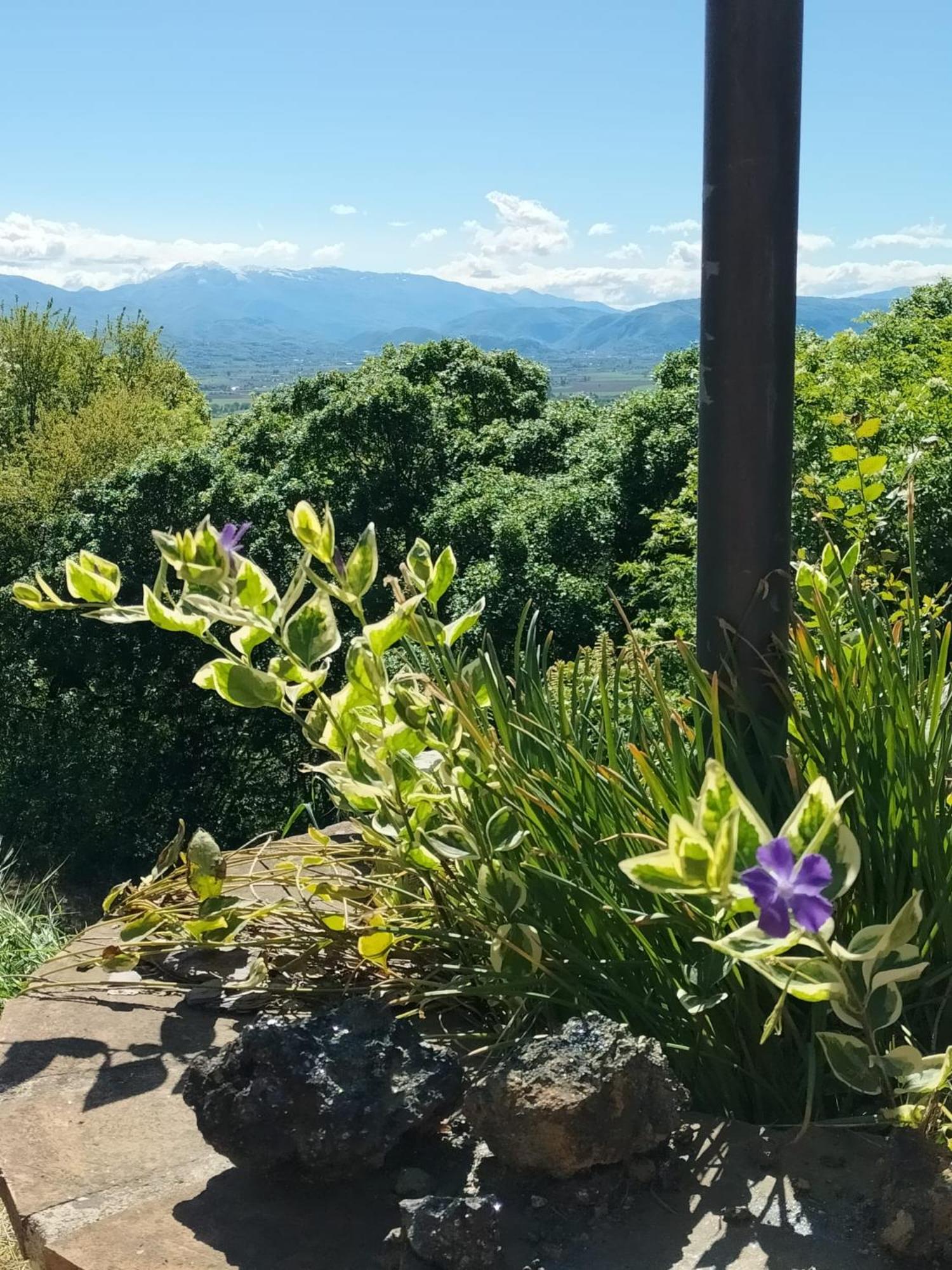 CASA VACANZE - LA CASINA DI LALLA - Greccio view 3