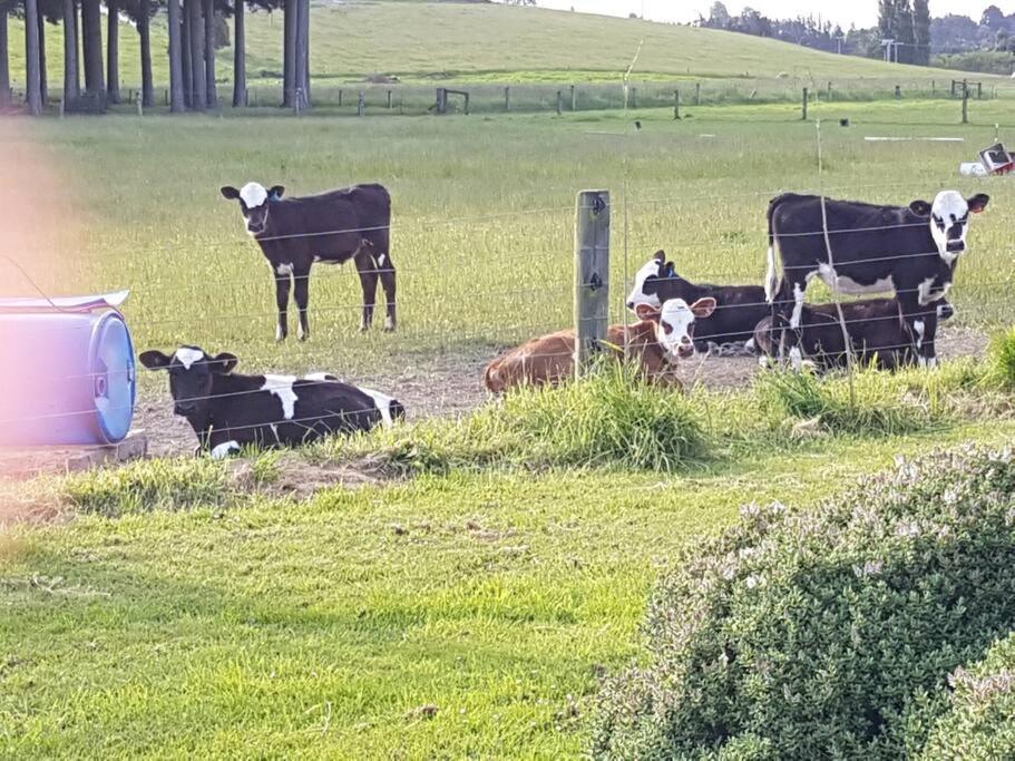 2 bedroom Apartment@Boutique Barn House Farm Stay view 4