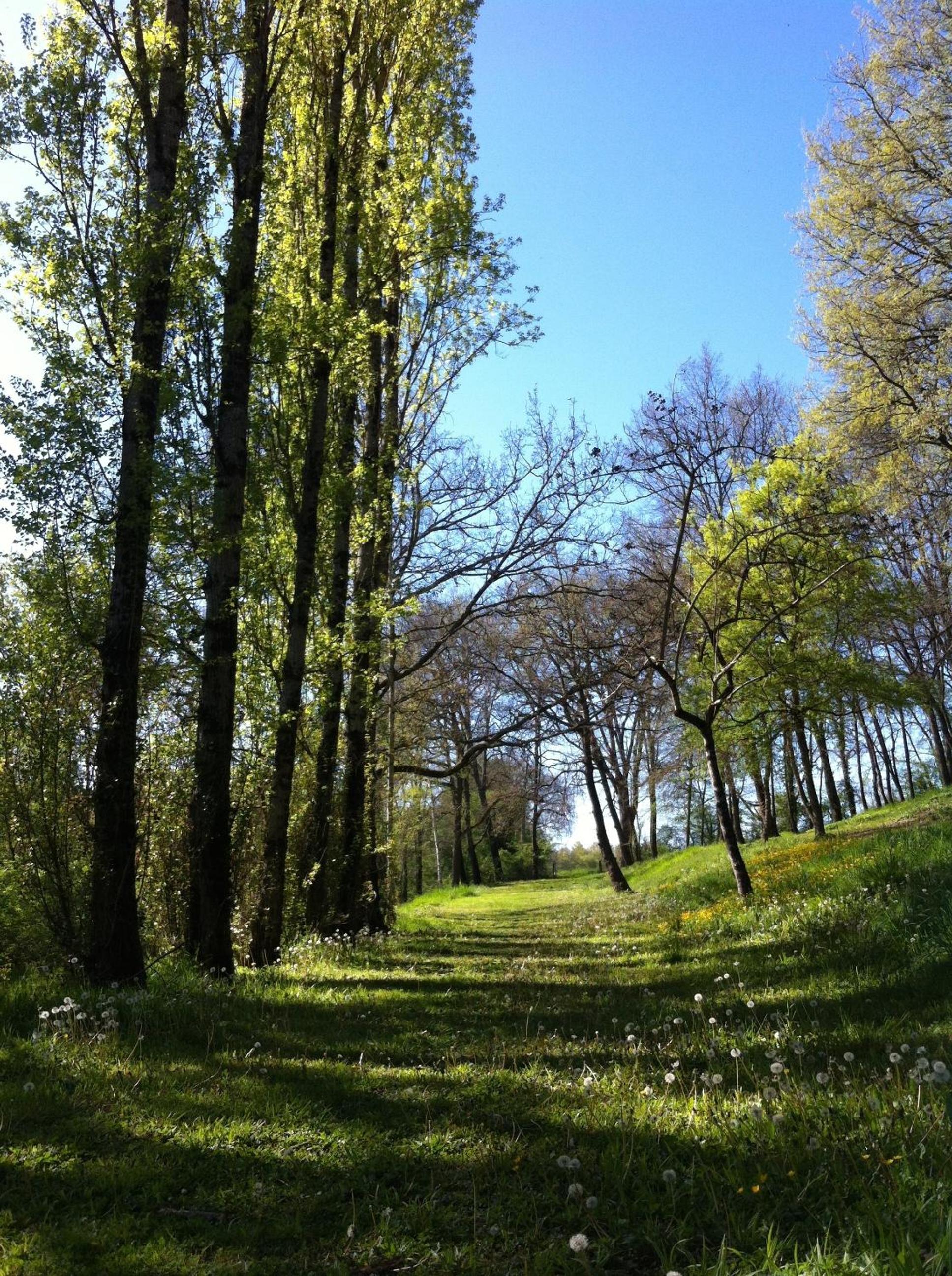 Moulin de Bapaumes view 4