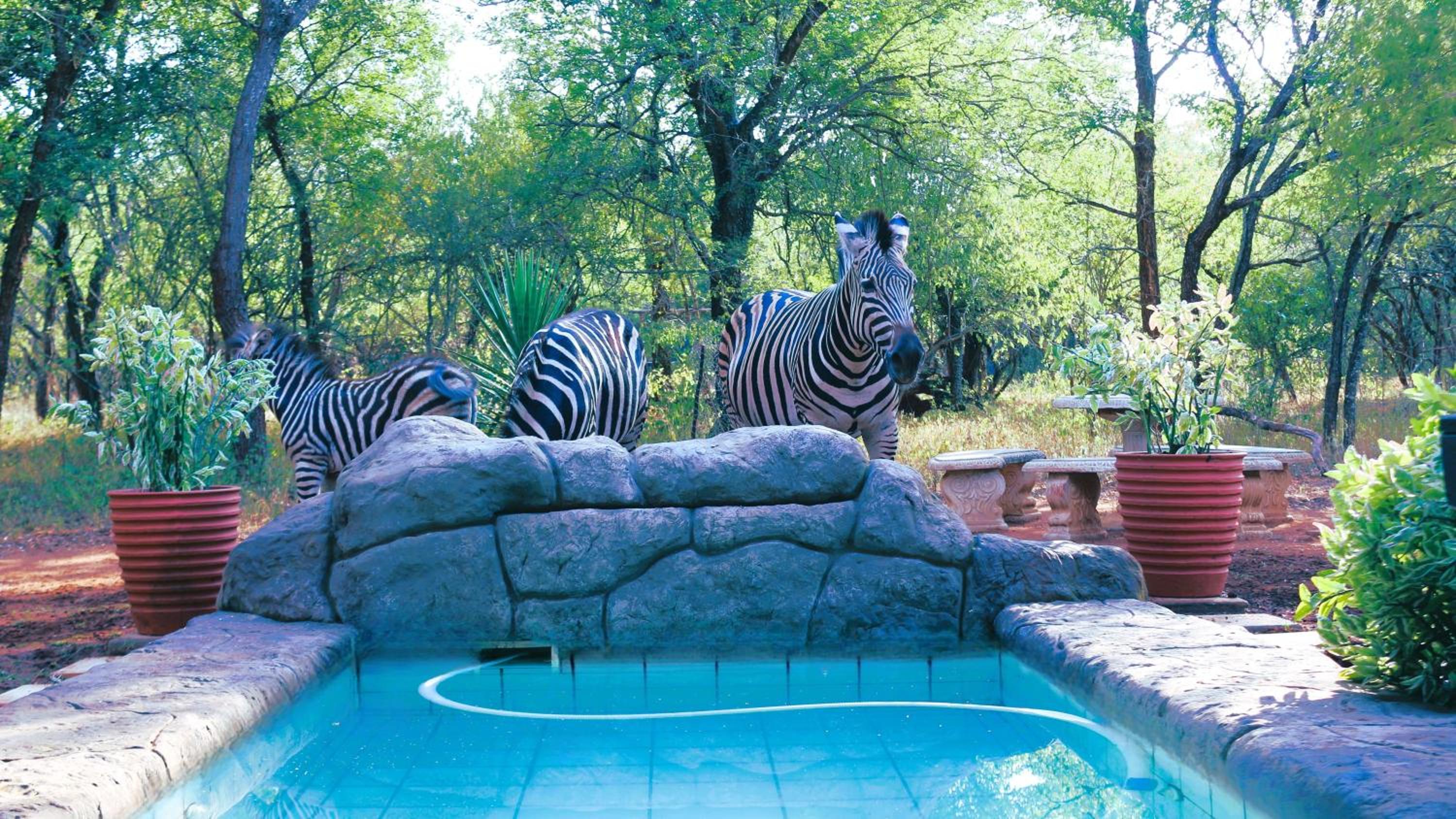 Kruger Kumba - Mugwenzi