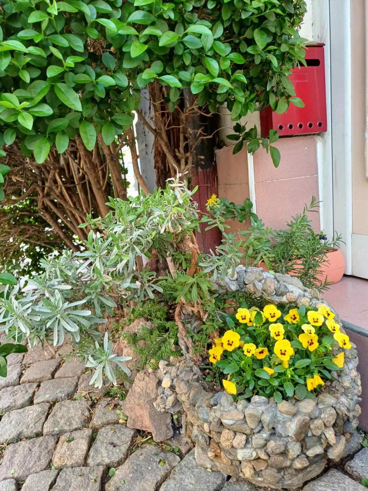 Residence Art Guest House