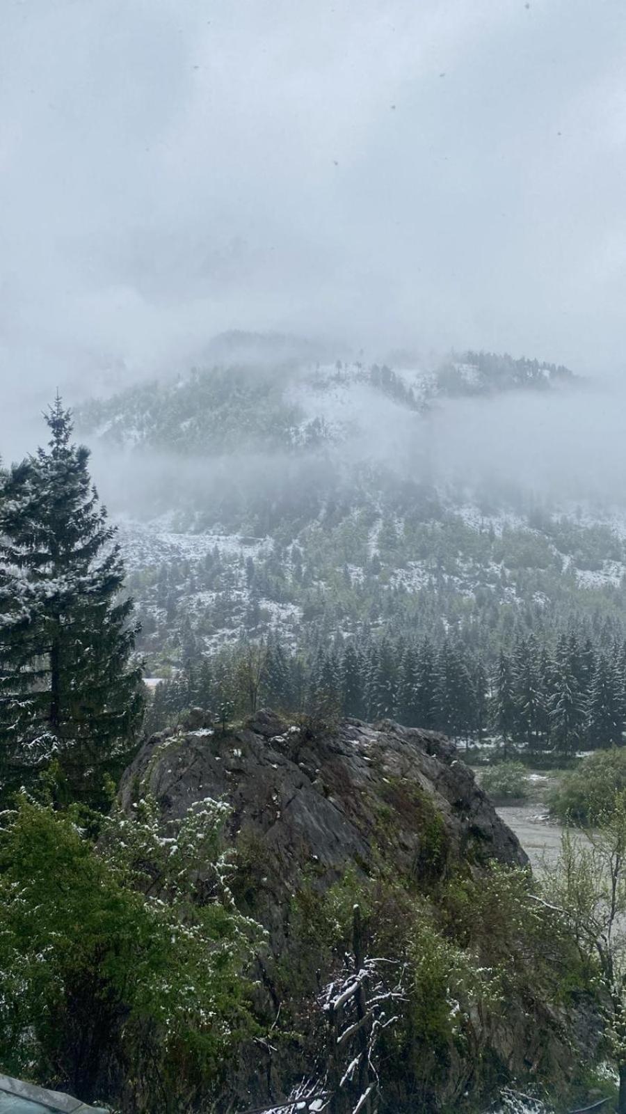 Guesthouse Mountain