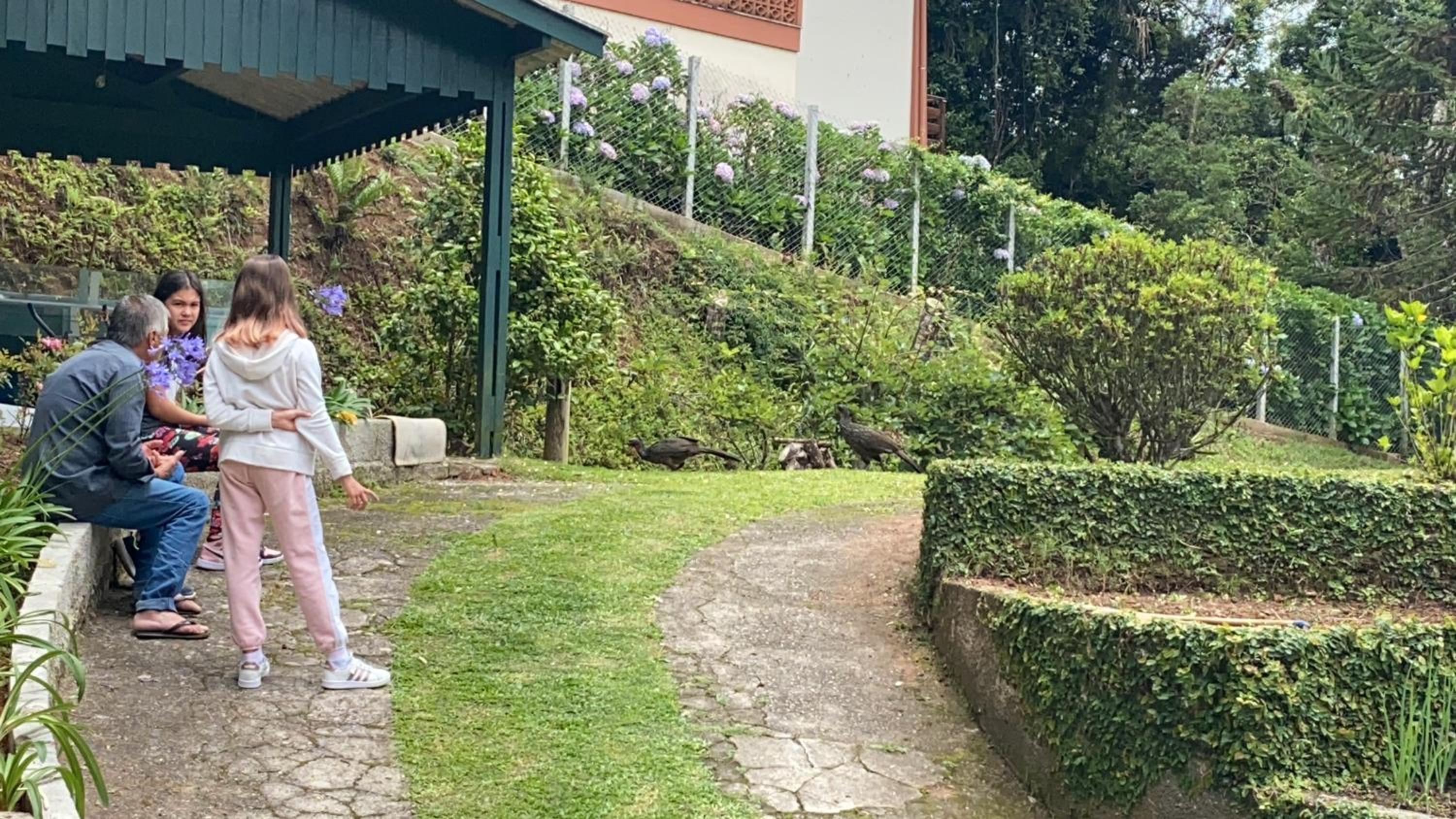 Paraiso dos Sonhos