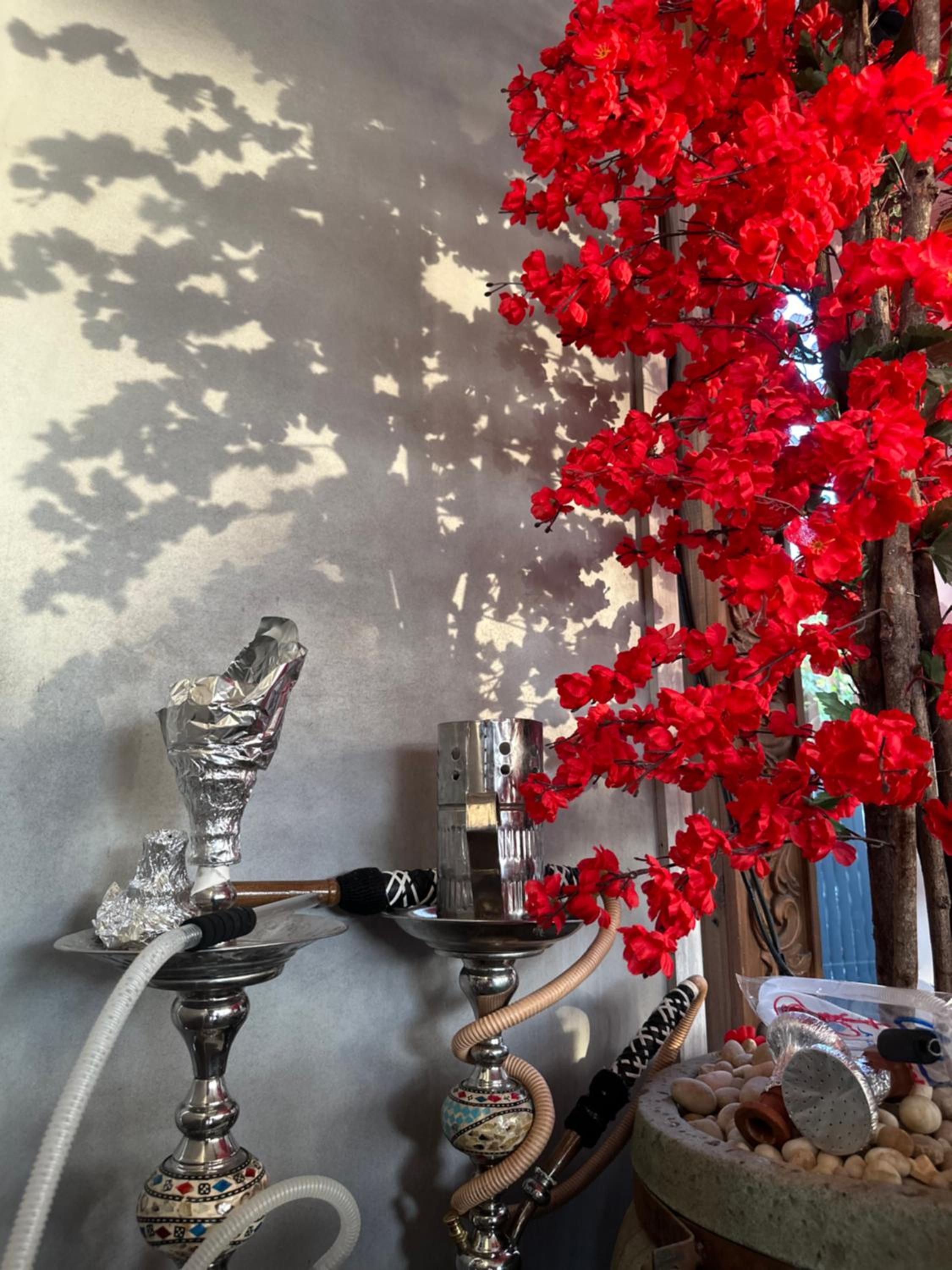 APOLO- Modern 1-Bedroom apartment in Heart of Zamalek visits allowed