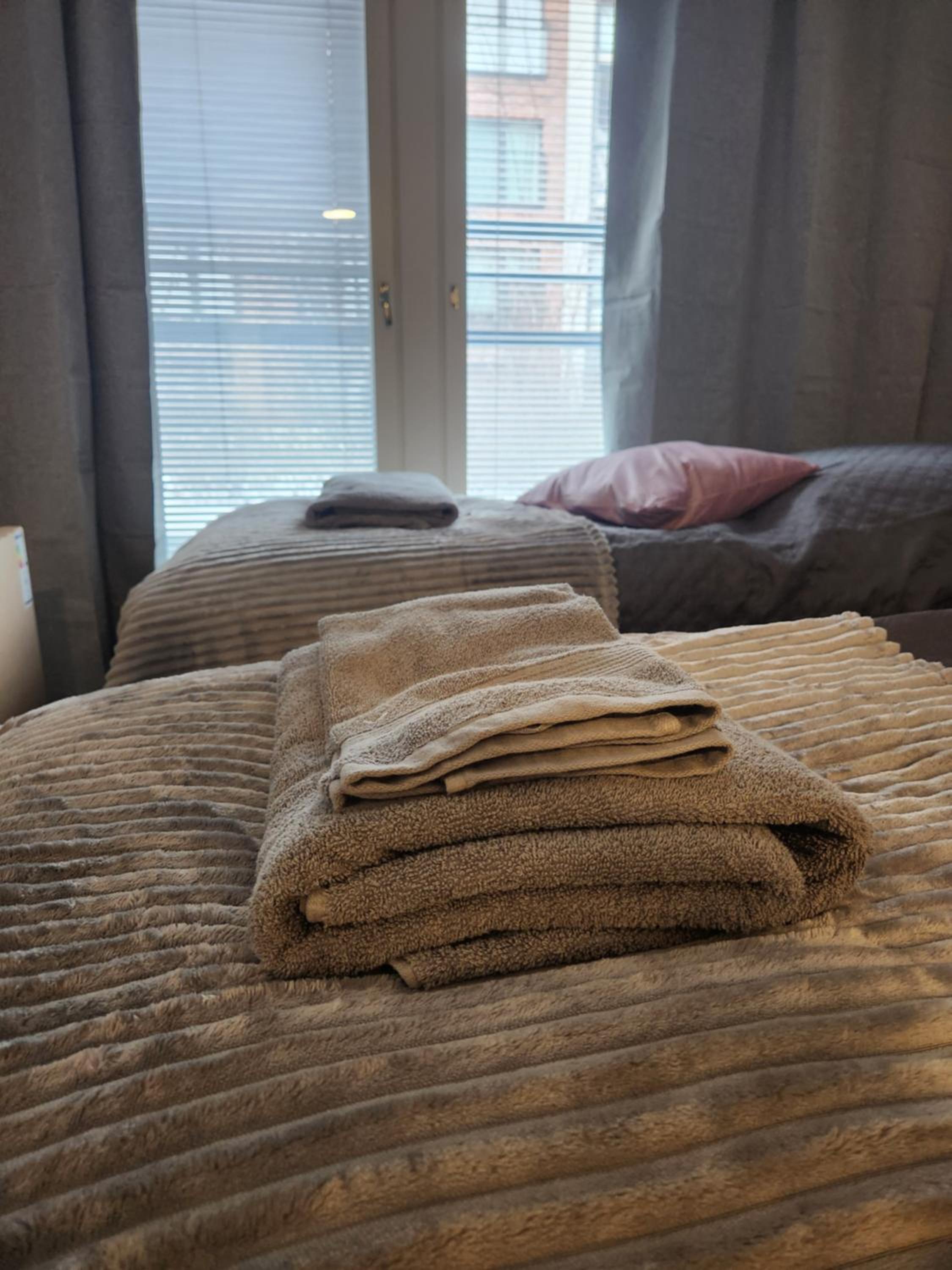 Laadukas kalustettu yksiö Logomolla 1-2hlö view 4