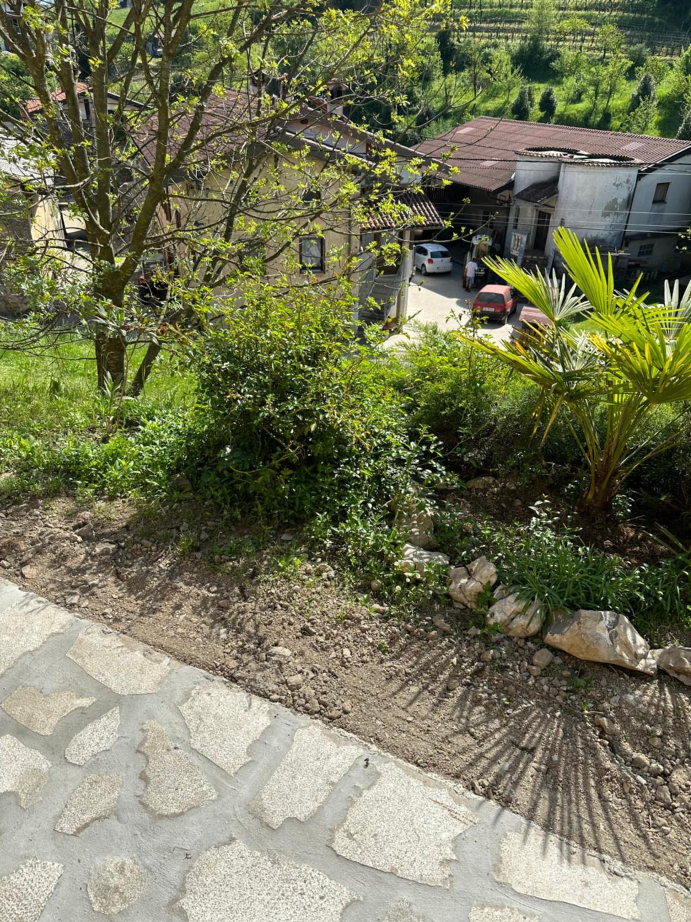 Photo 36