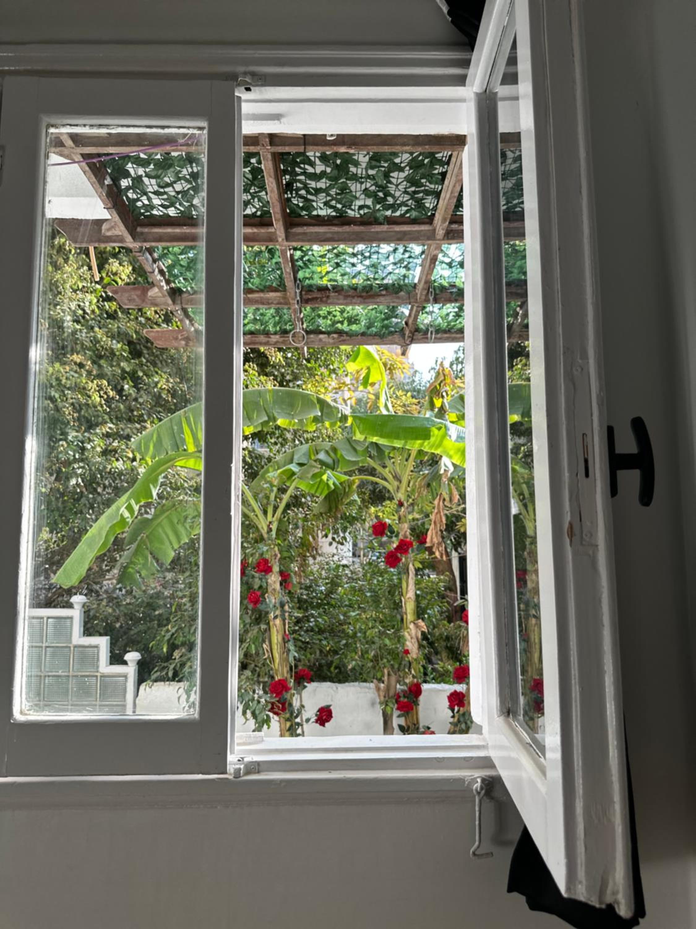 APOLO- Modern 1-Bedroom apartment in Heart of Zamalek visits allowed