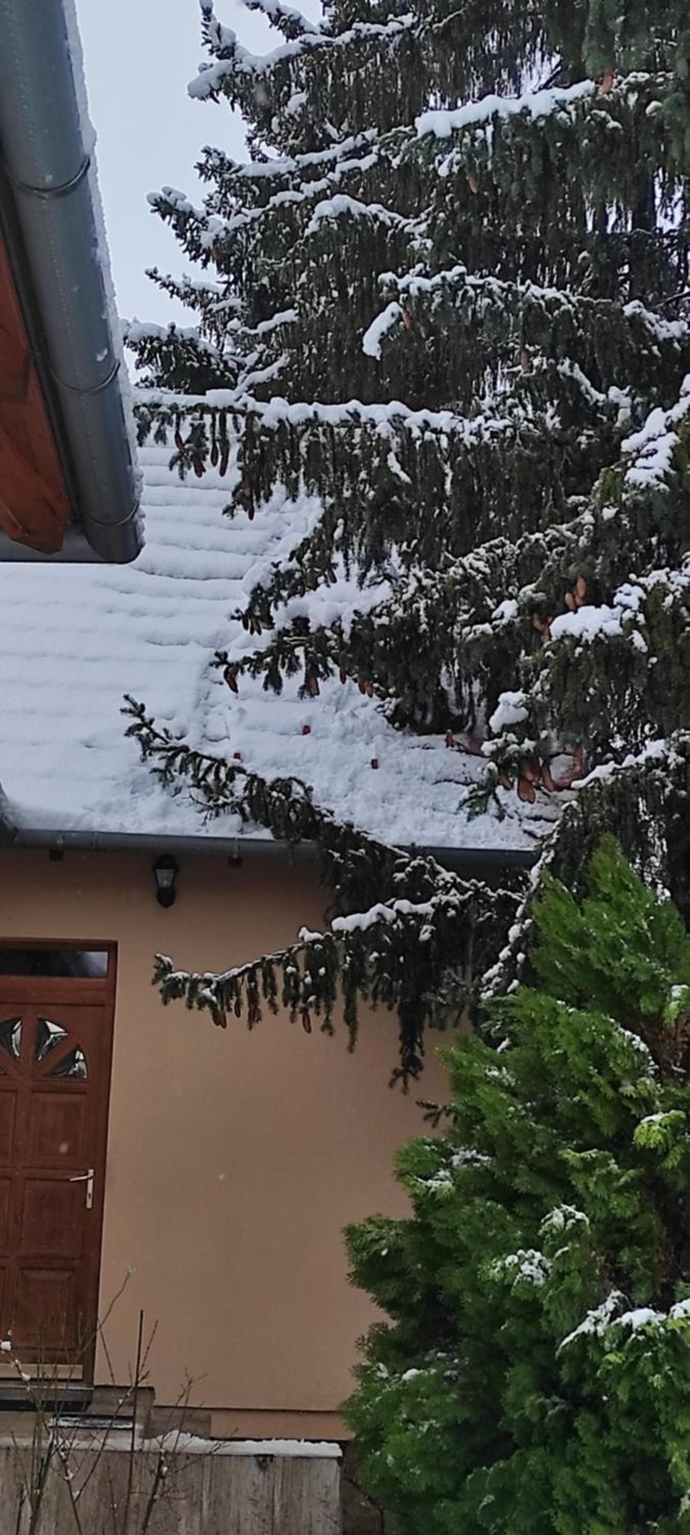 BudaWestHouse