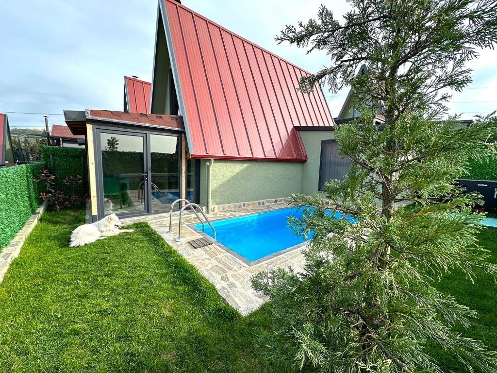 Patya BUNGALOV