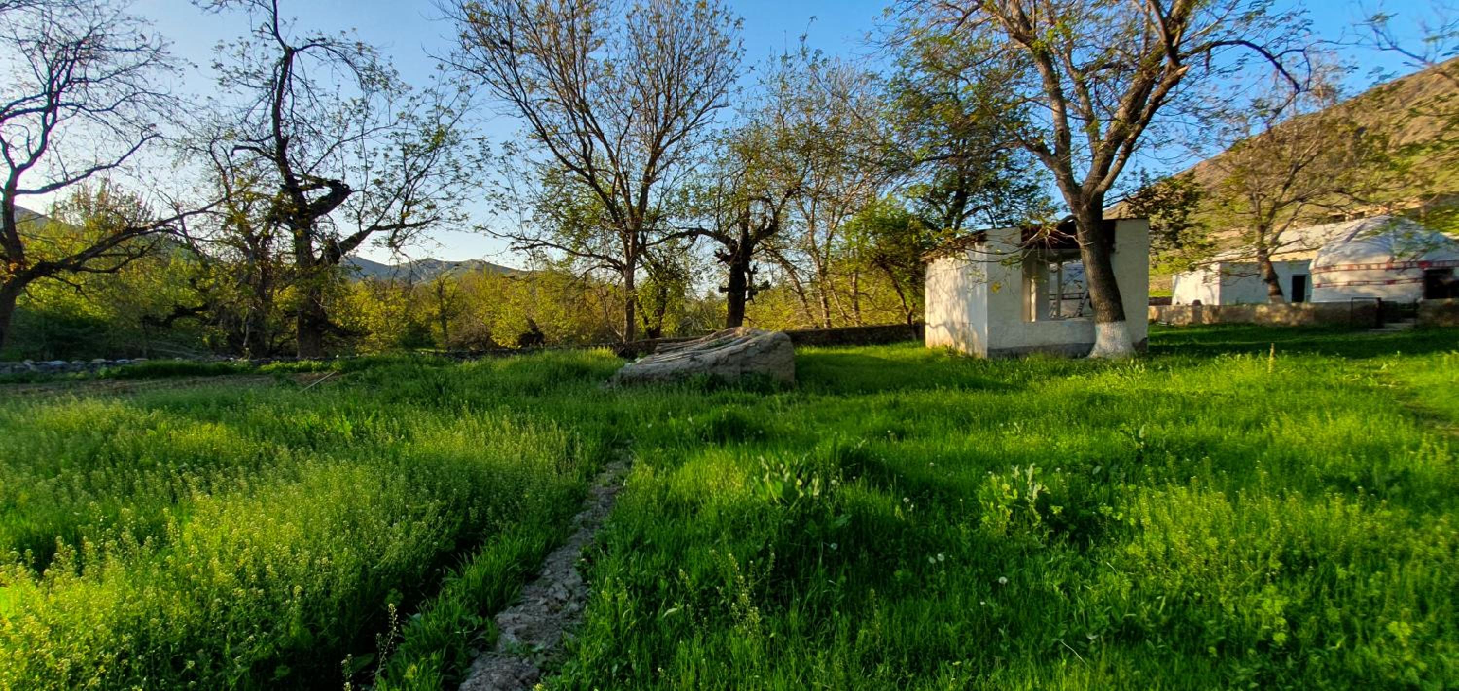 Photo 13
