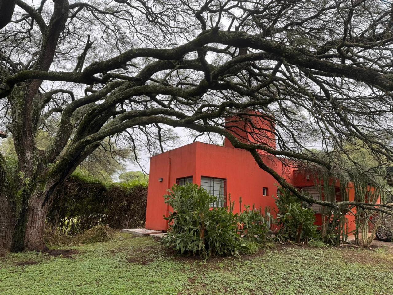 La casita anaranjá