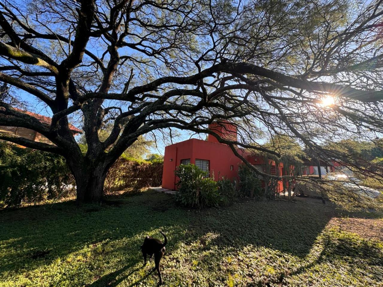 La casita anaranjá