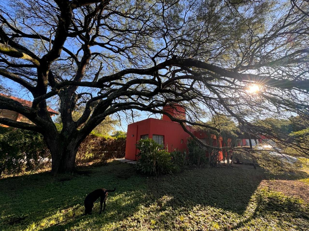 La casita anaranjá