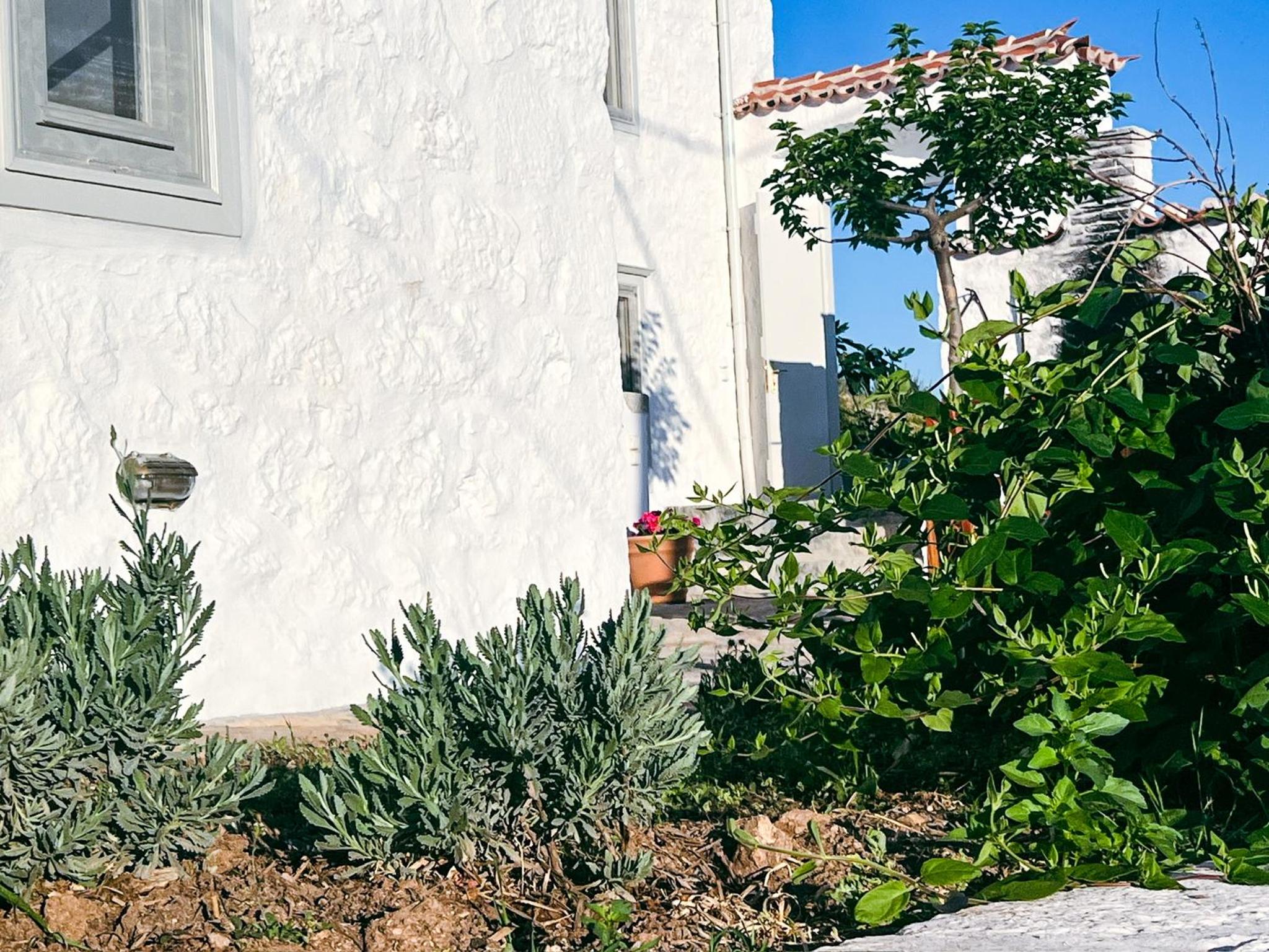 Hydra Homesteads