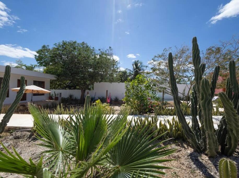 María Amor- Contemporary Maya Oasis view 4