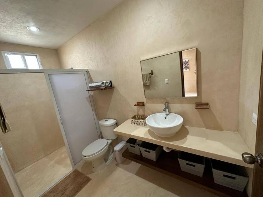Photo 7