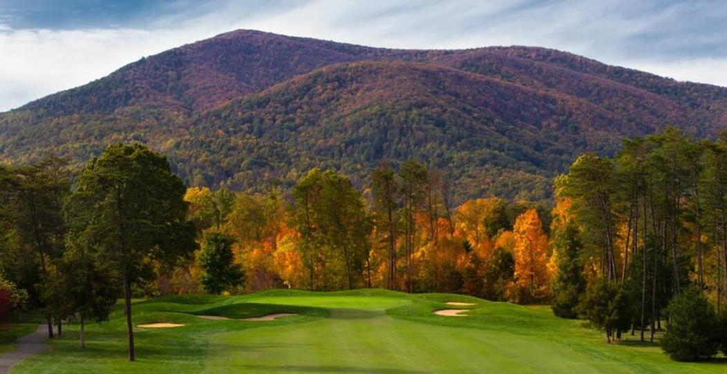 Wintergreen