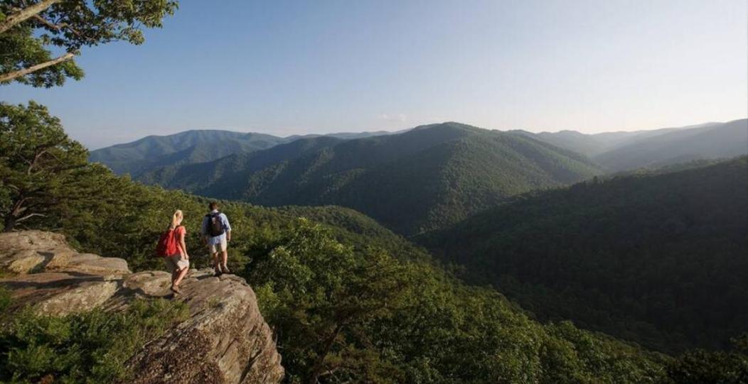 Wintergreen