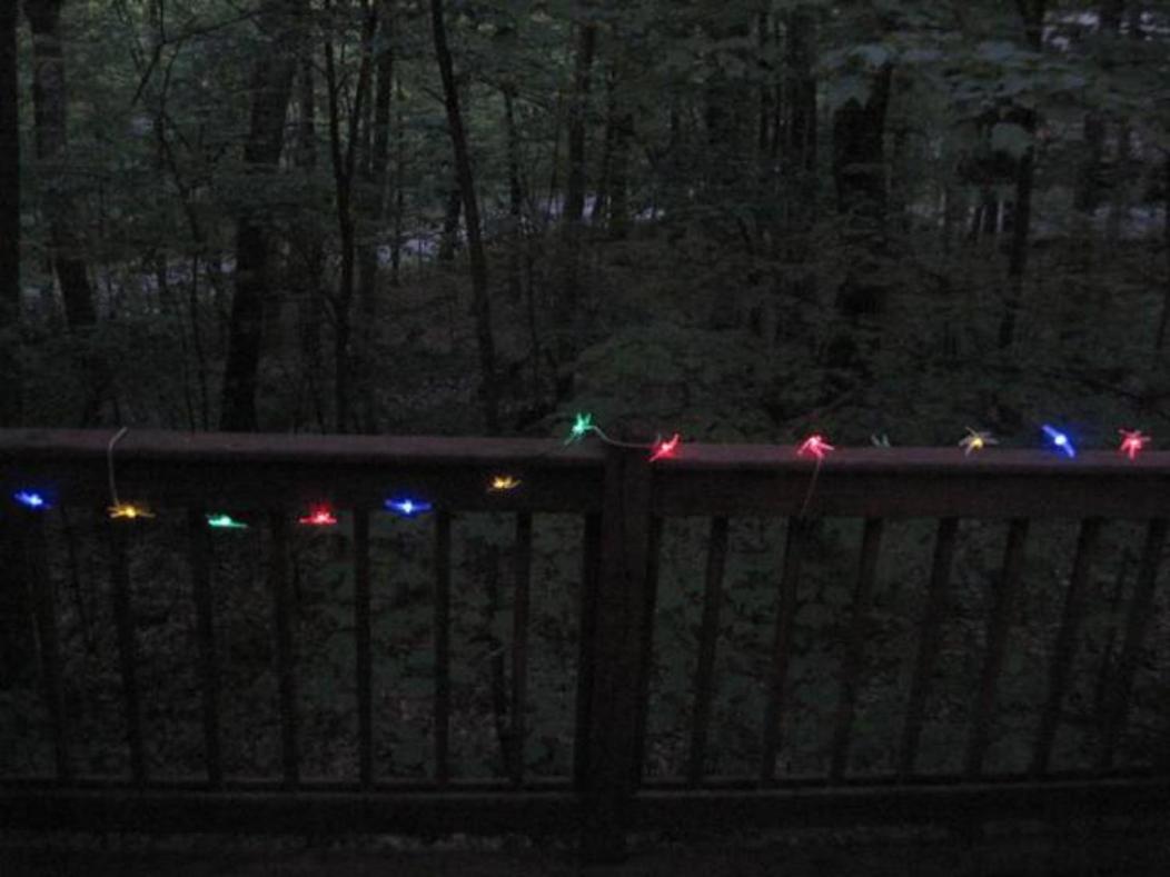 Wintergreen