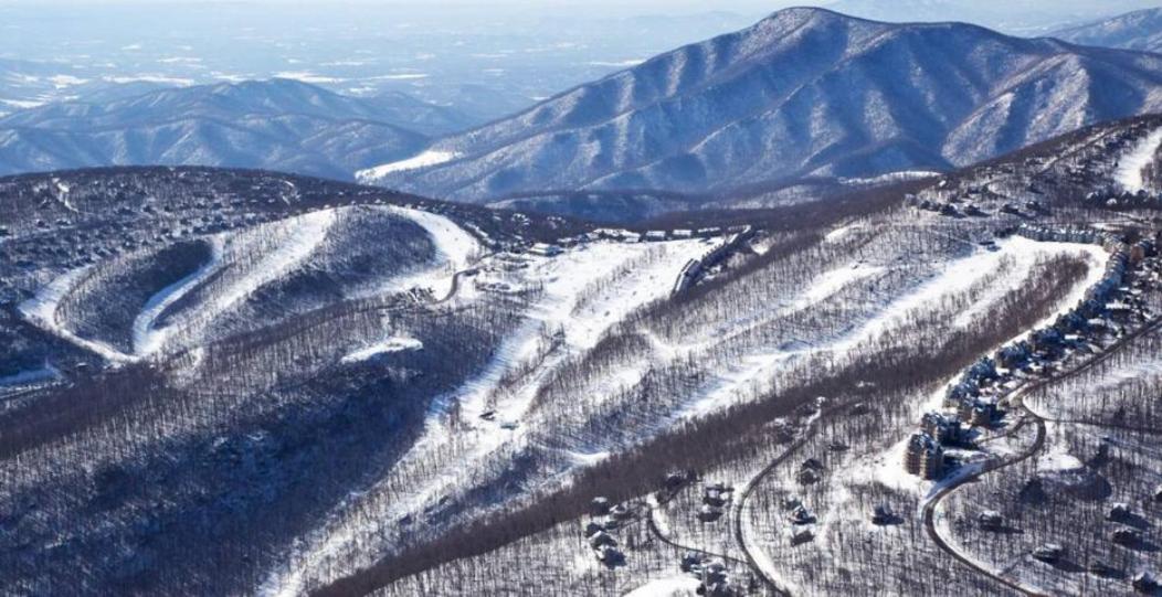 Wintergreen