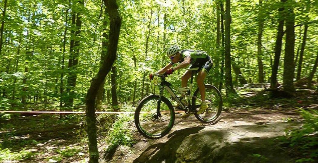 Wintergreen