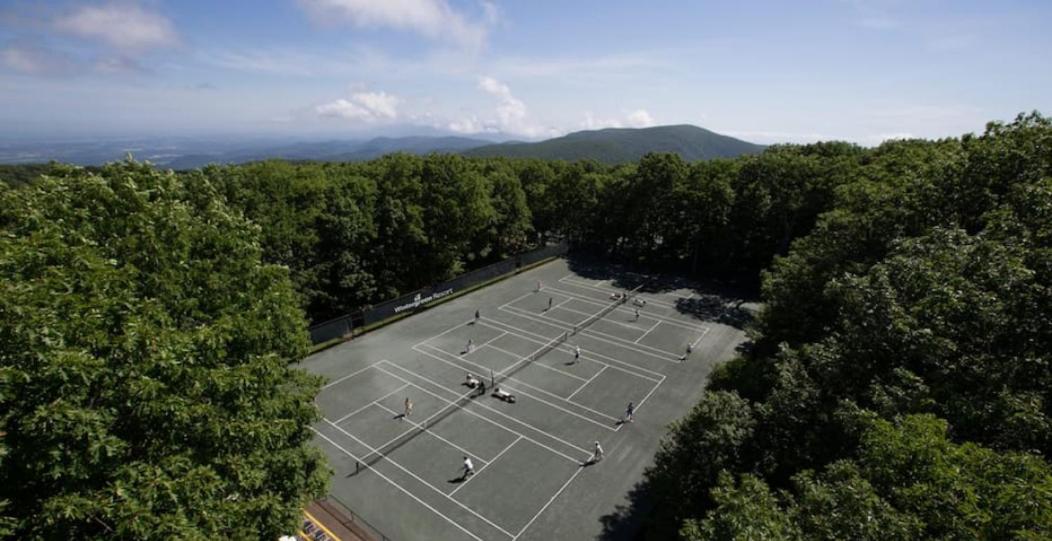 Wintergreen