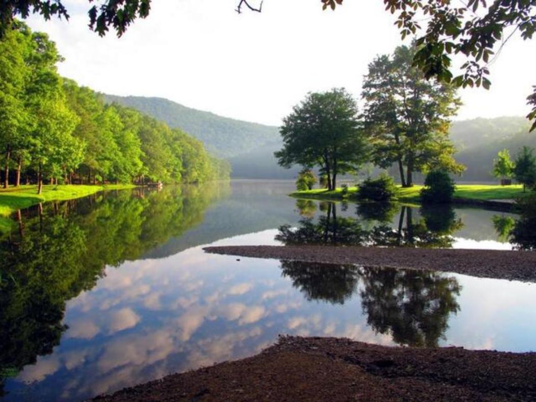 Wintergreen
