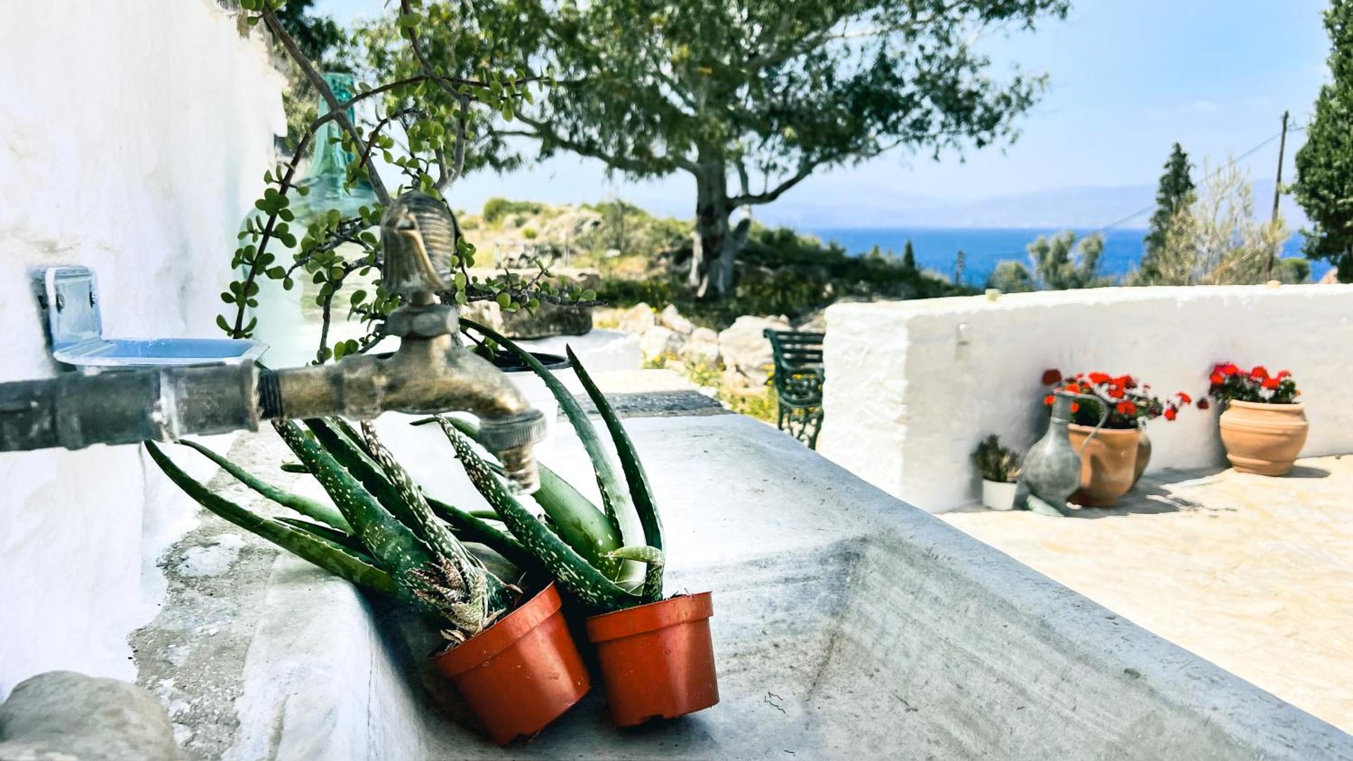 Hydra Homesteads