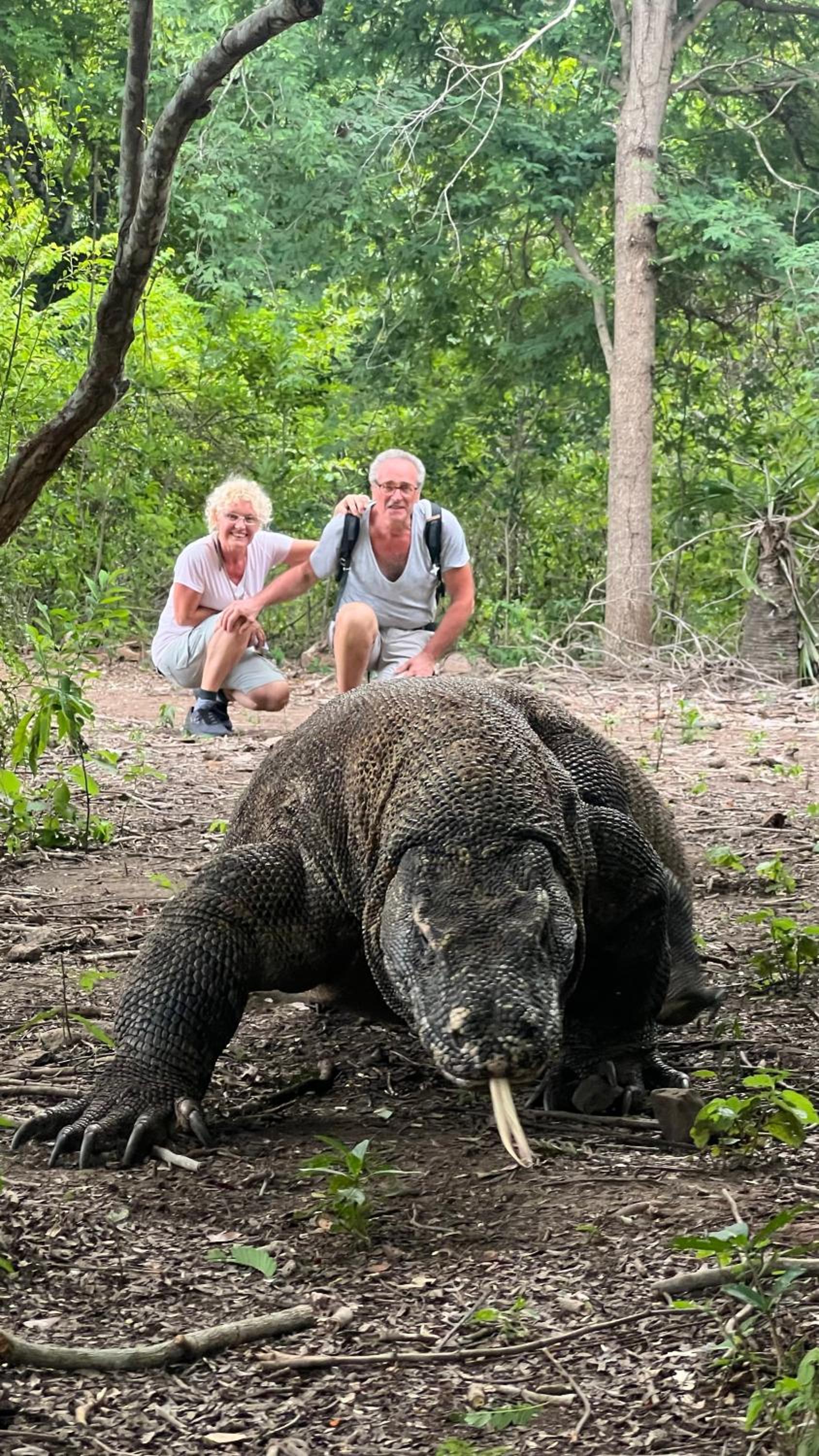 Jhuna Komodo Homestay