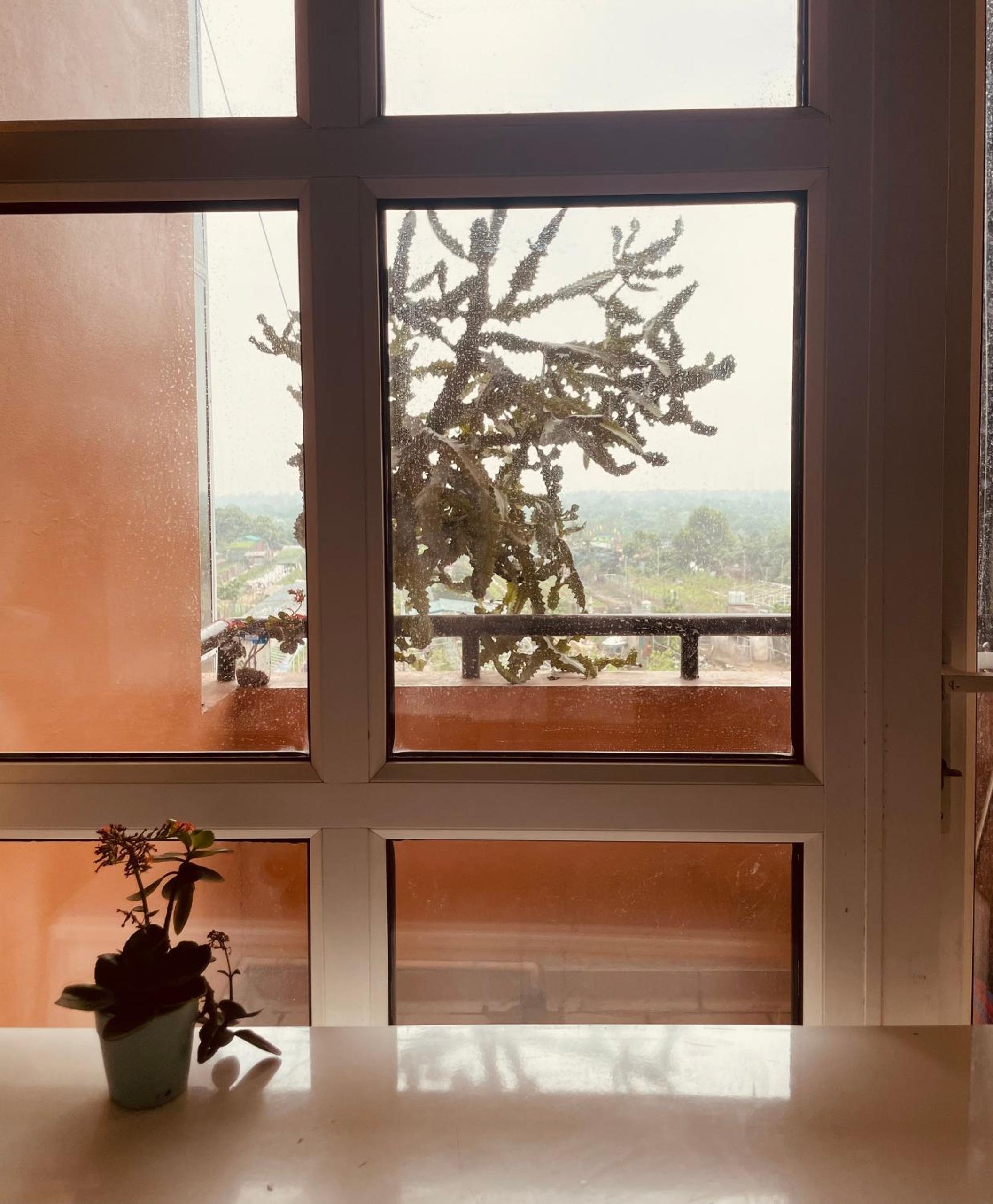 AN HOMESTAY