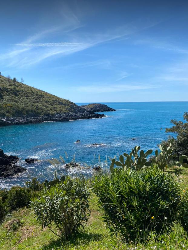 Perla Del Sud