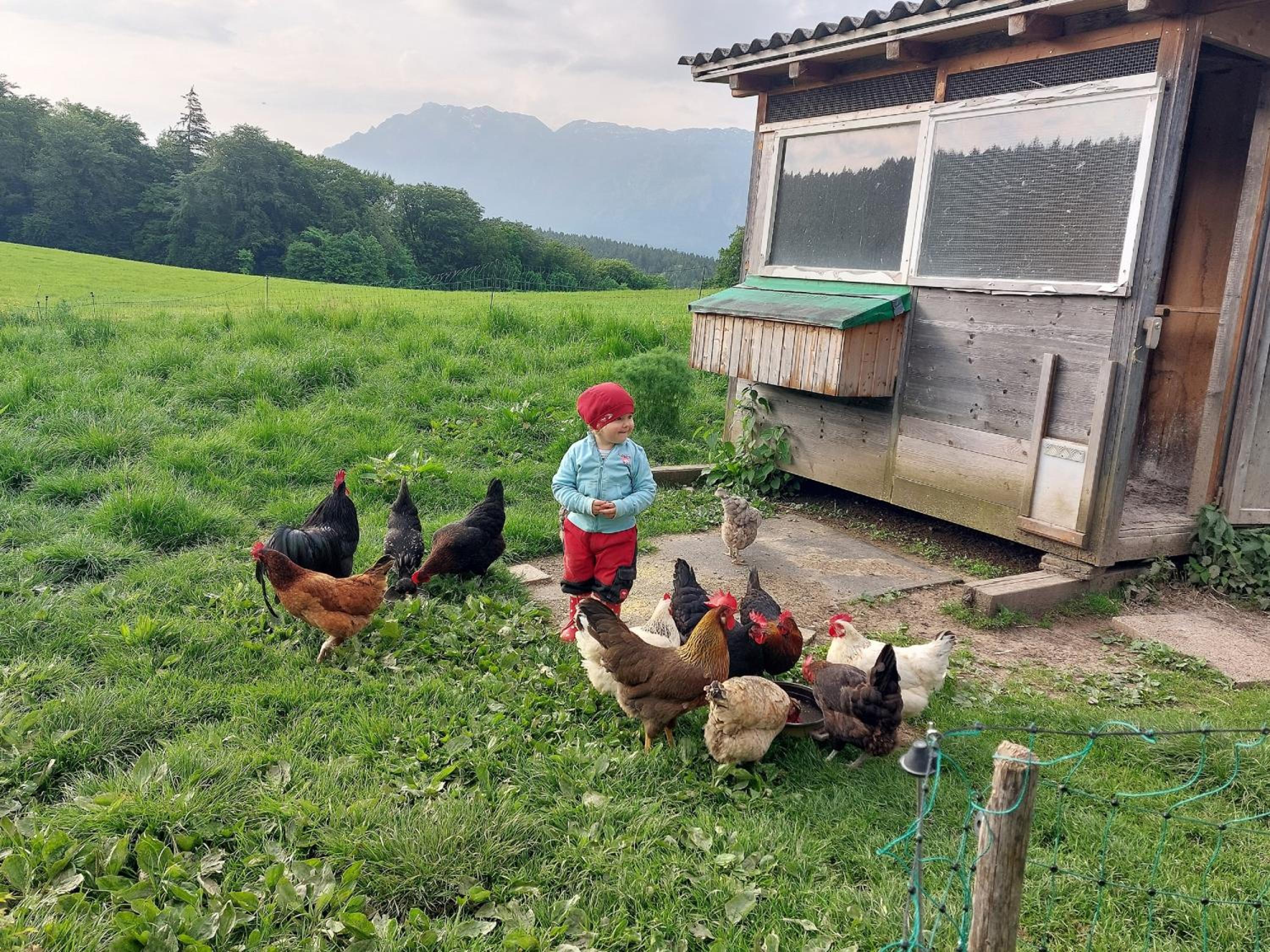 Photo 19