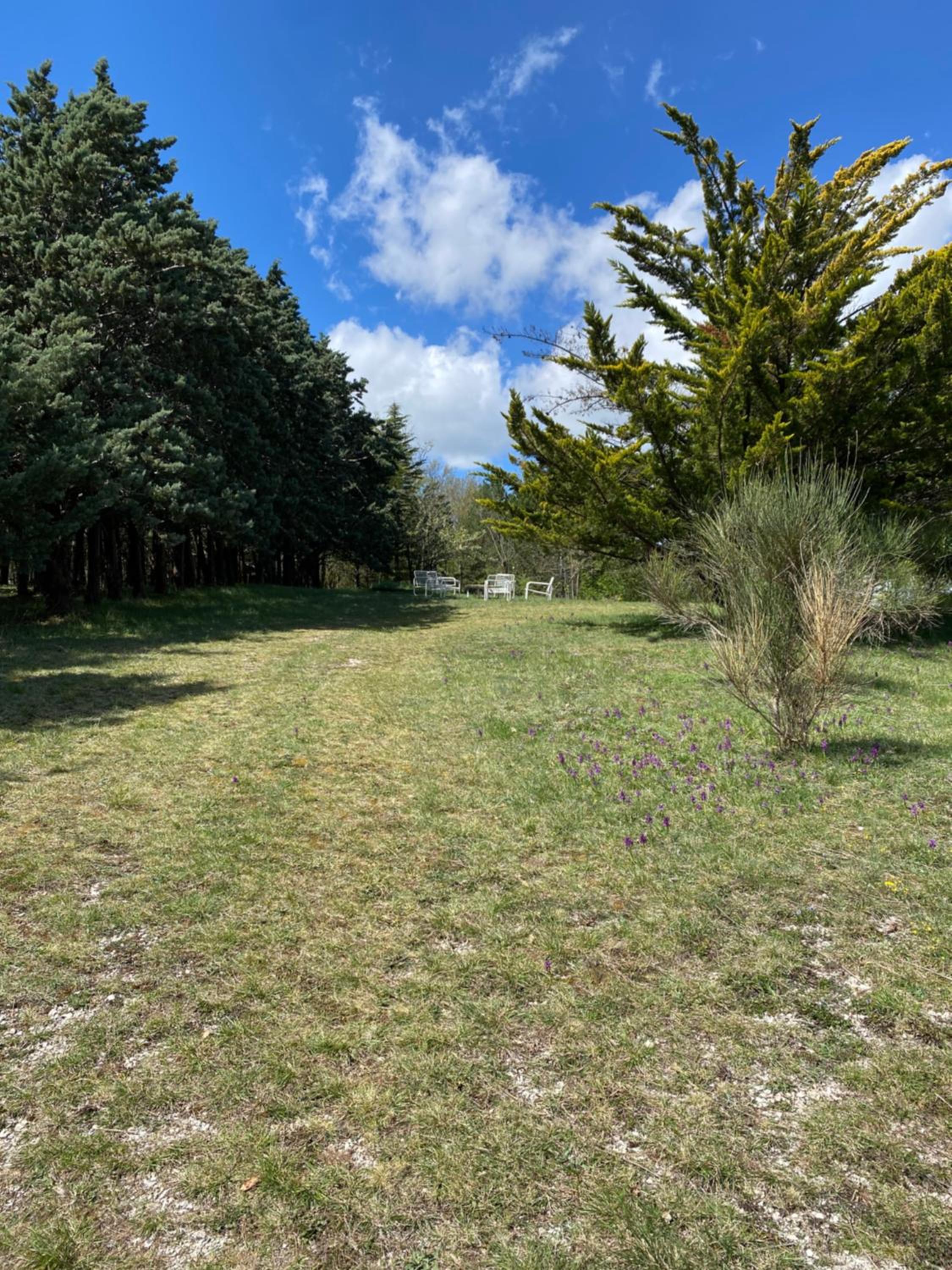 Chalet Ricciano