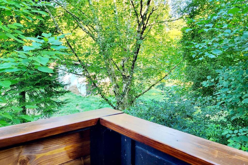 Colourful 2.5 Bedroom With Large Balcony & Garden.
