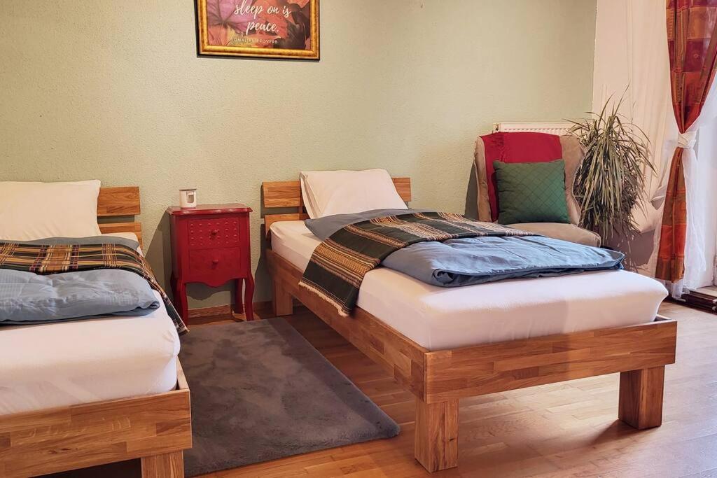 Colourful 2.5 Bedroom With Large Balcony & Garden.