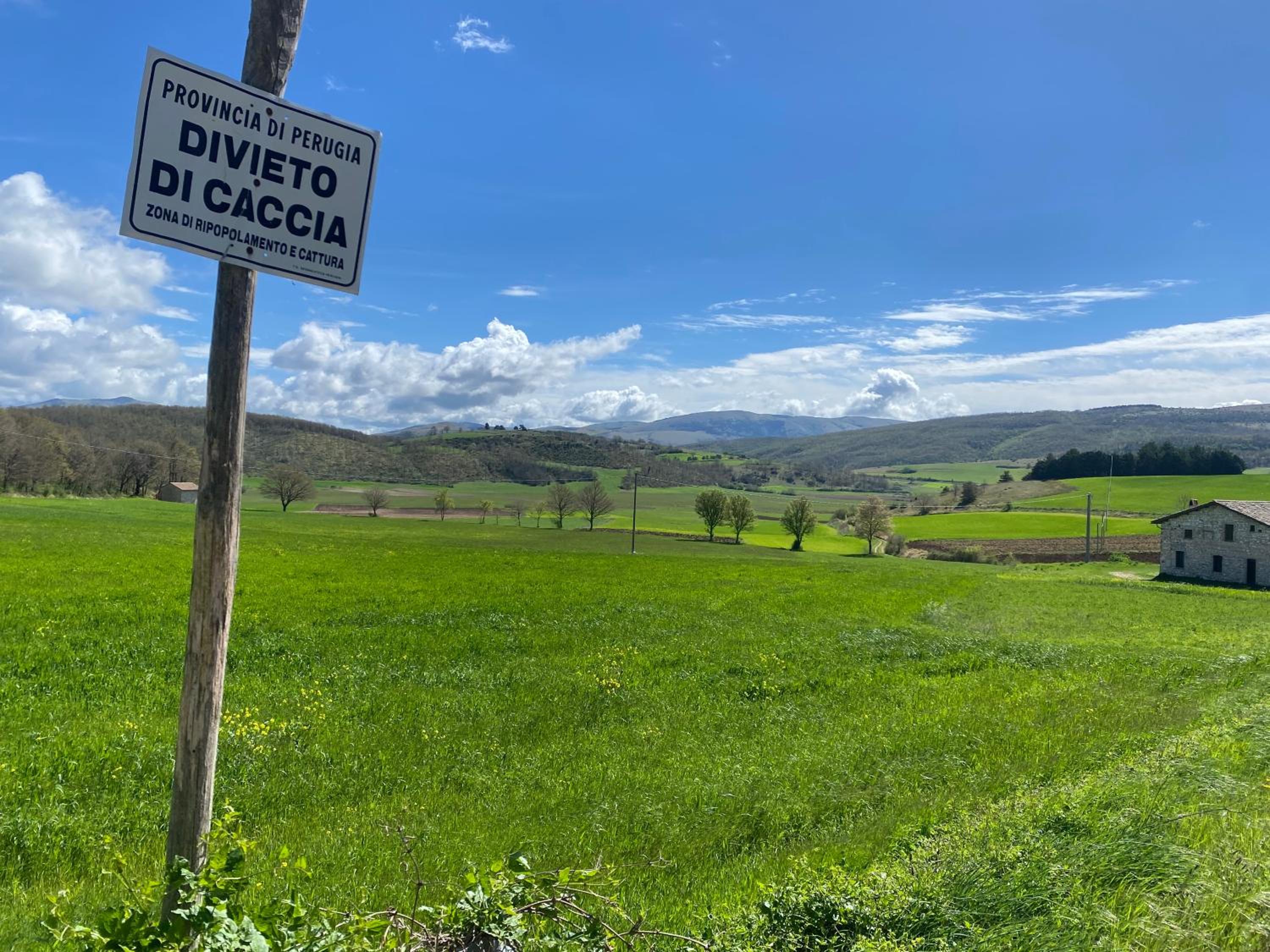 Chalet Ricciano