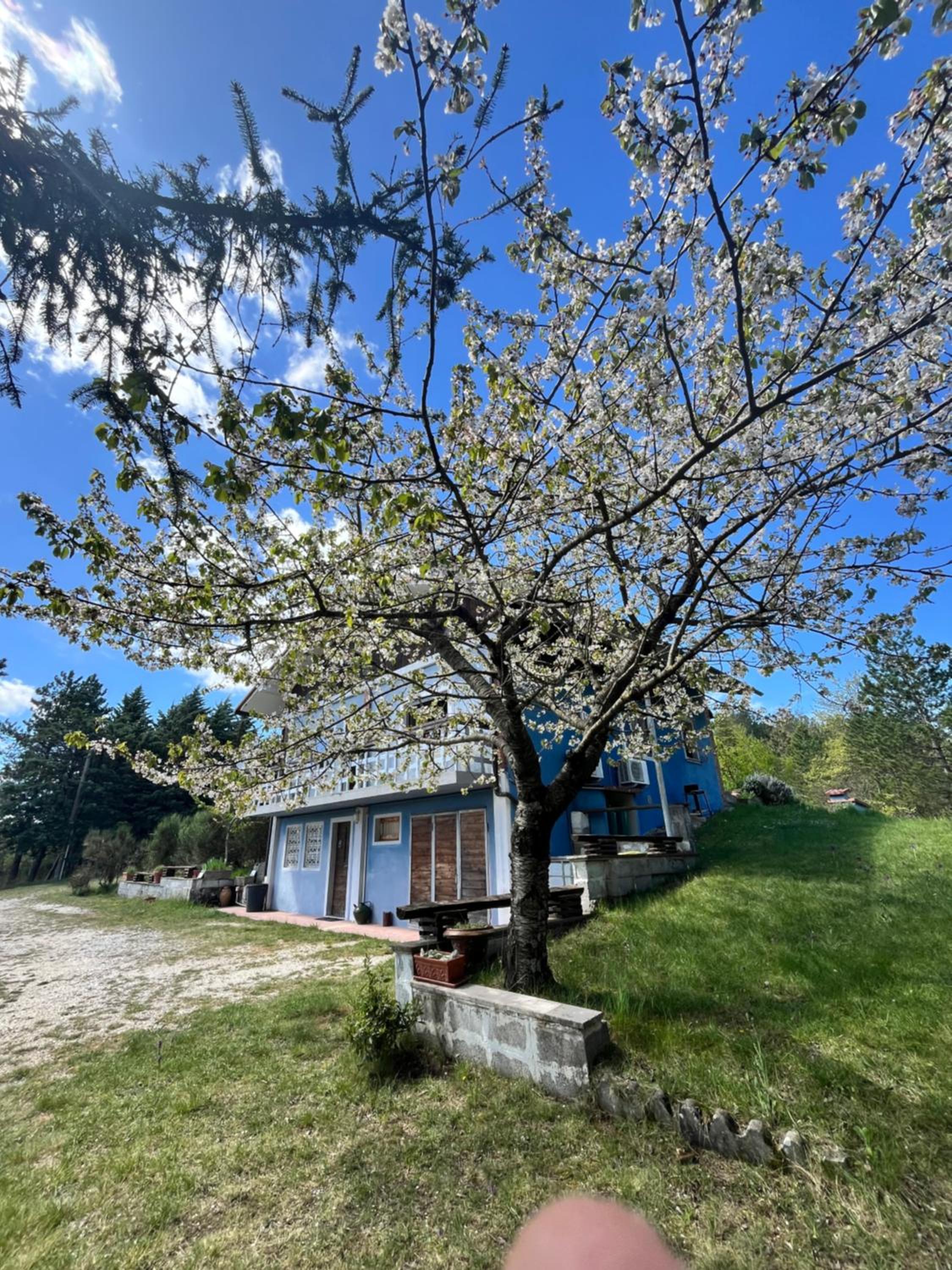 Chalet Ricciano
