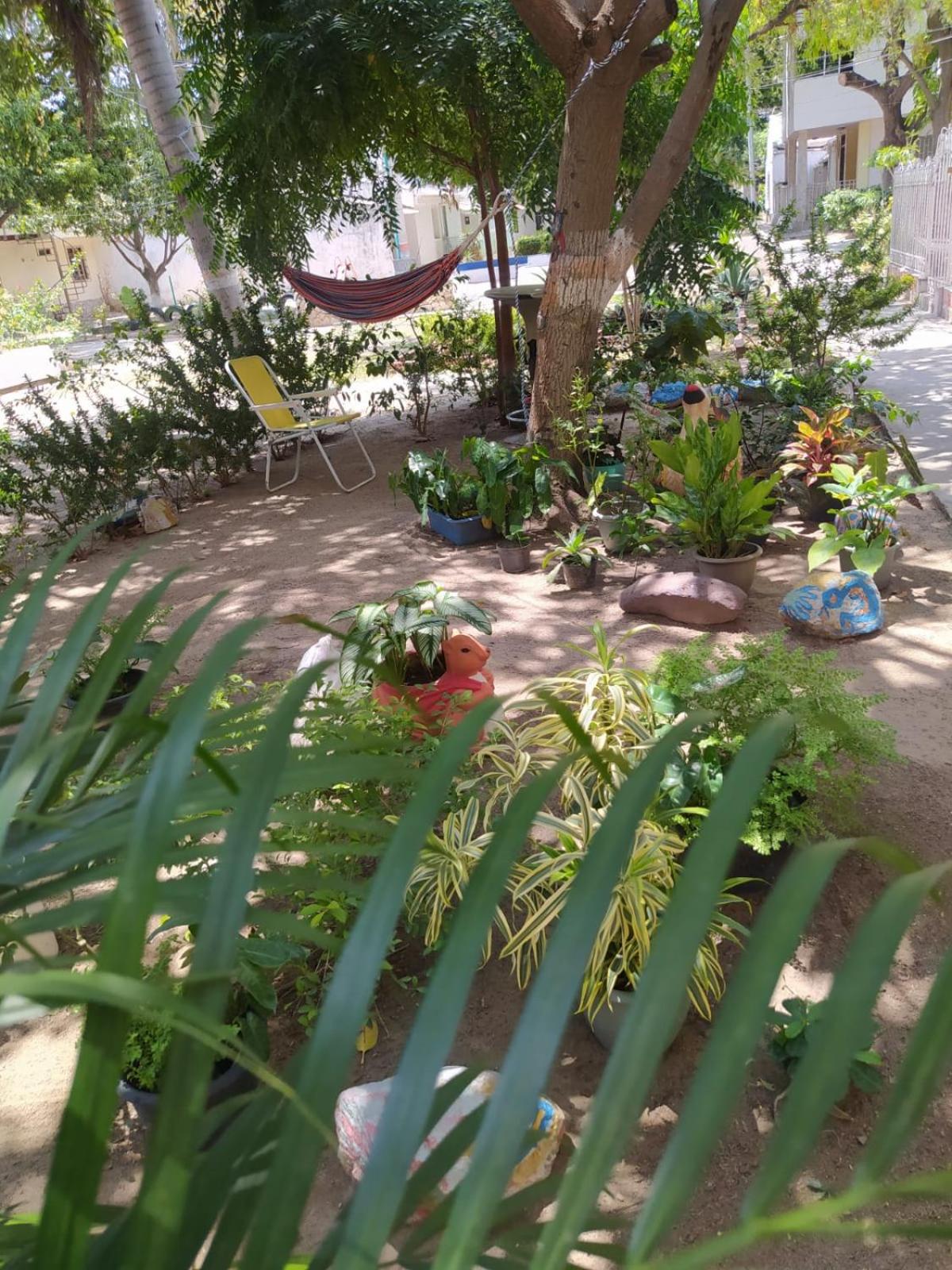 Photo 42