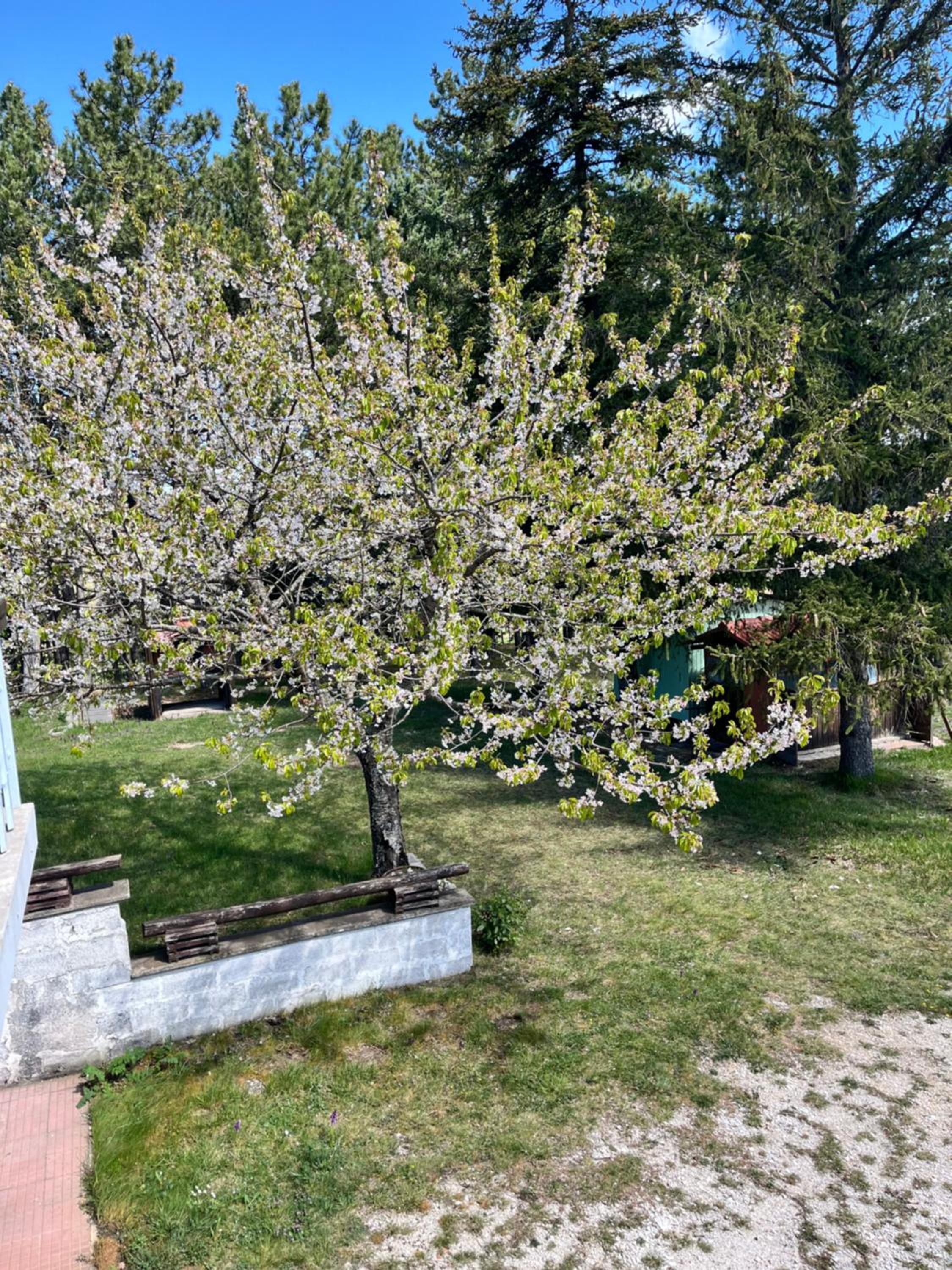 Chalet Ricciano