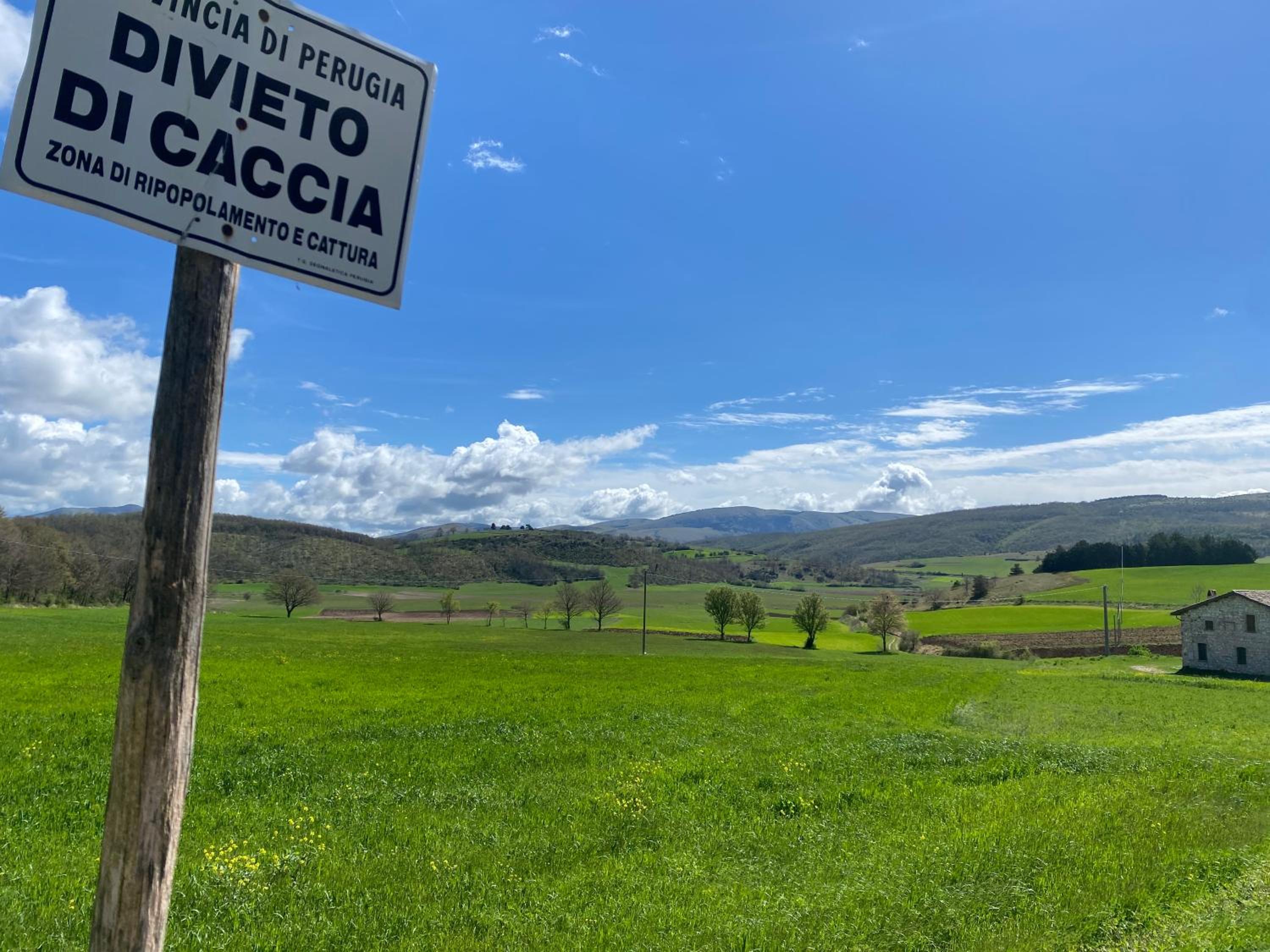 Chalet Ricciano
