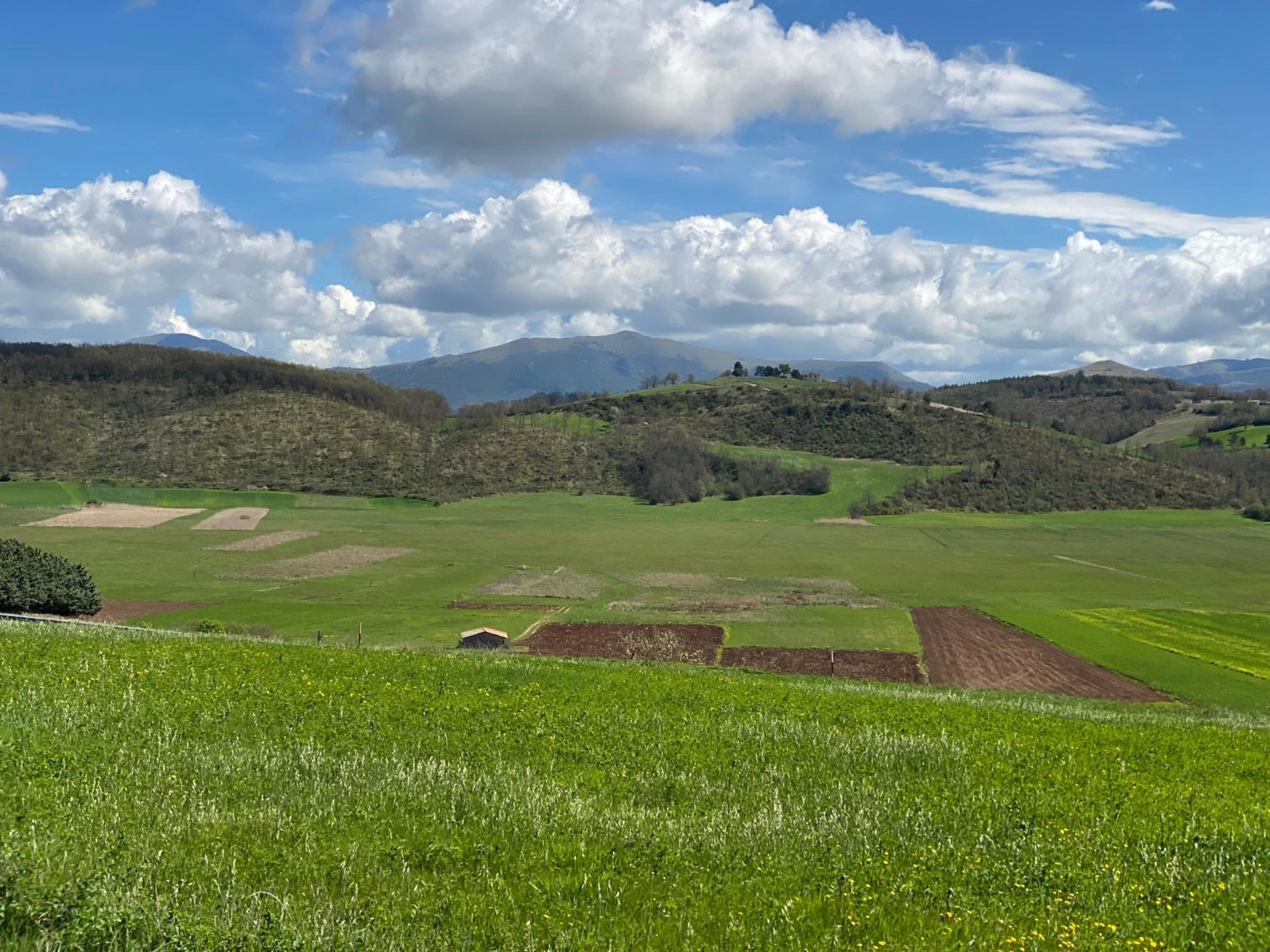 Chalet Ricciano