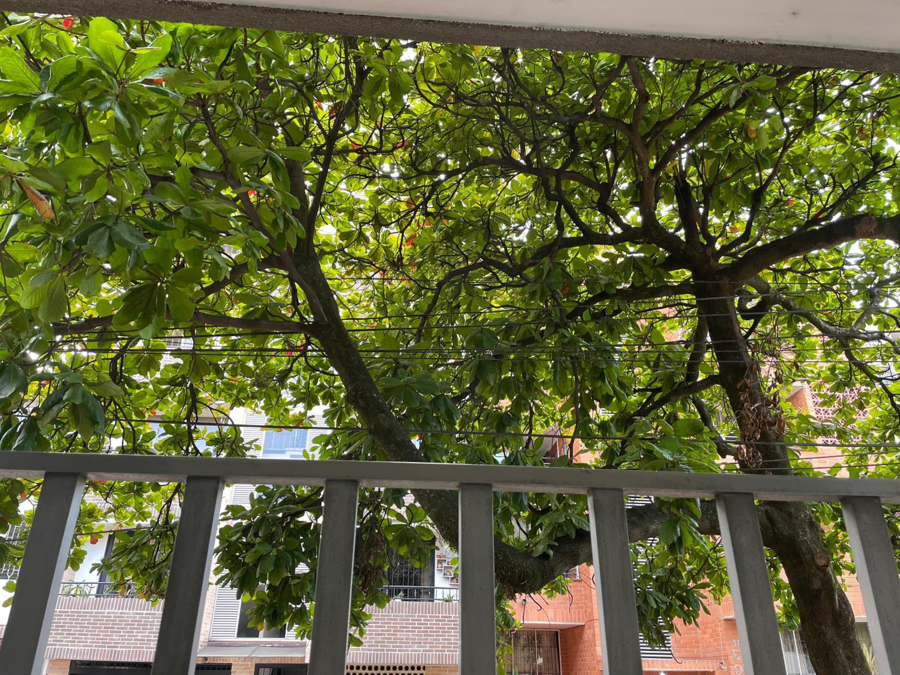 loft cerca a laureles, WIFI, cerca metro y GUARDA EQUIPAJE GRATIS!!