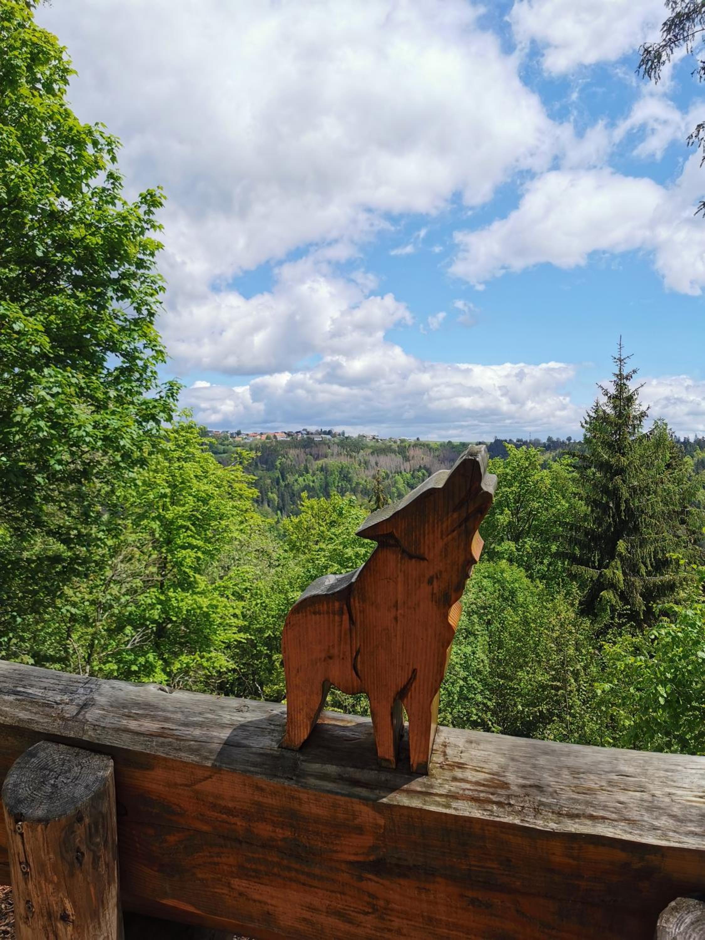 Fewo Sunneschii, Höchenschwand, Dorf am Himmel, Sauna im Haus view 4