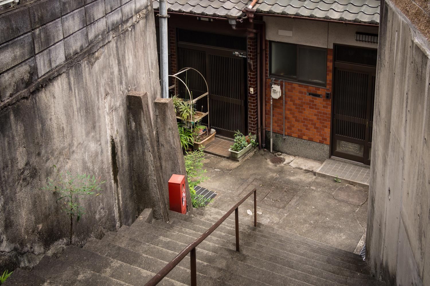 Photo 41