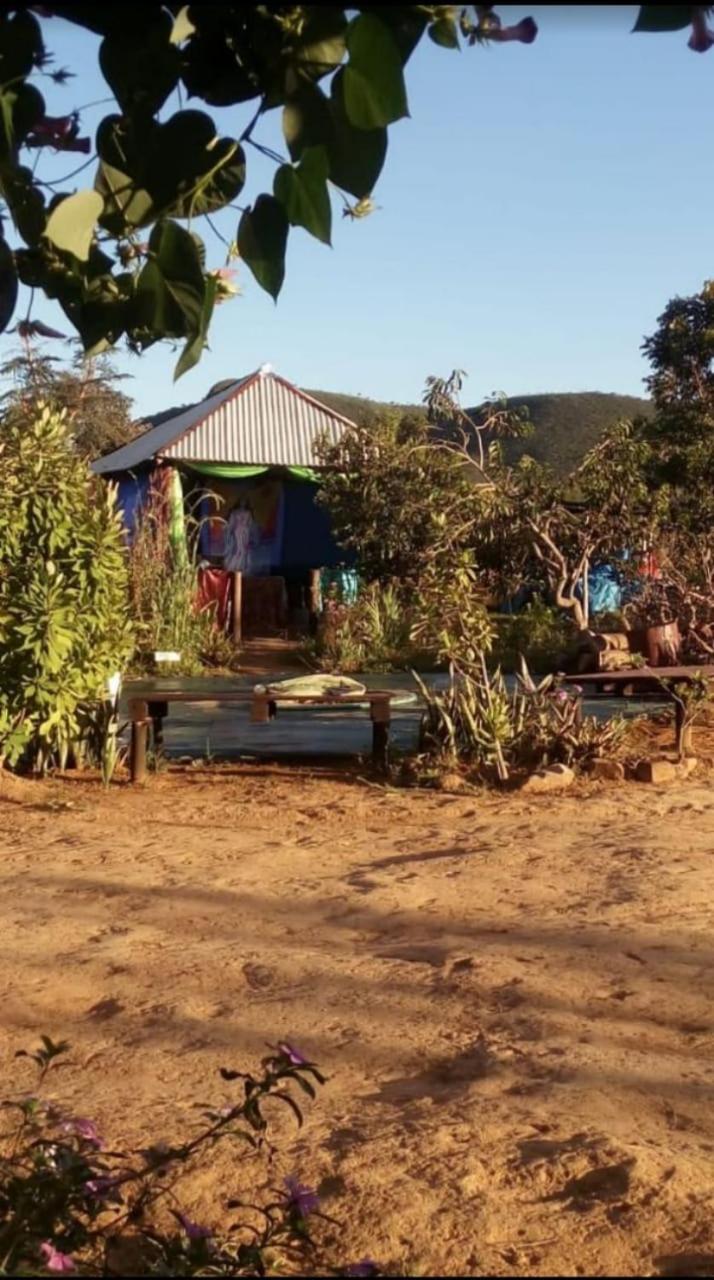 Casa Flor do Cerrado Luz do caminho