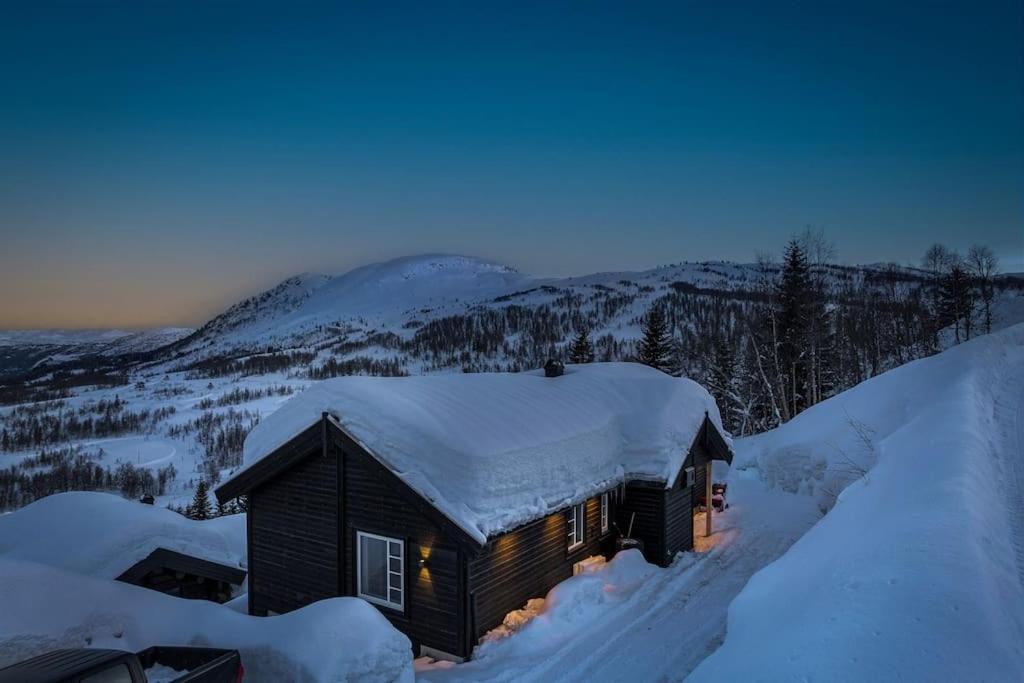 Hodlekvevegen 301, Ski inn/ut view 3