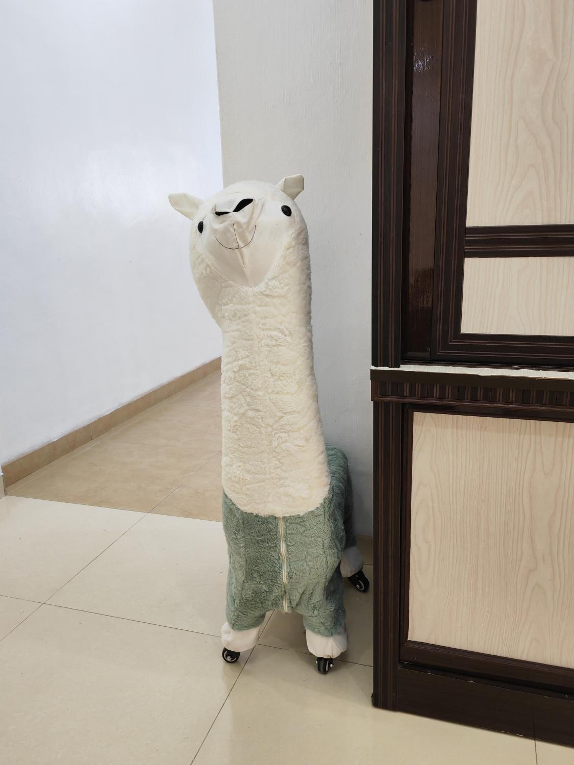 Photo 20